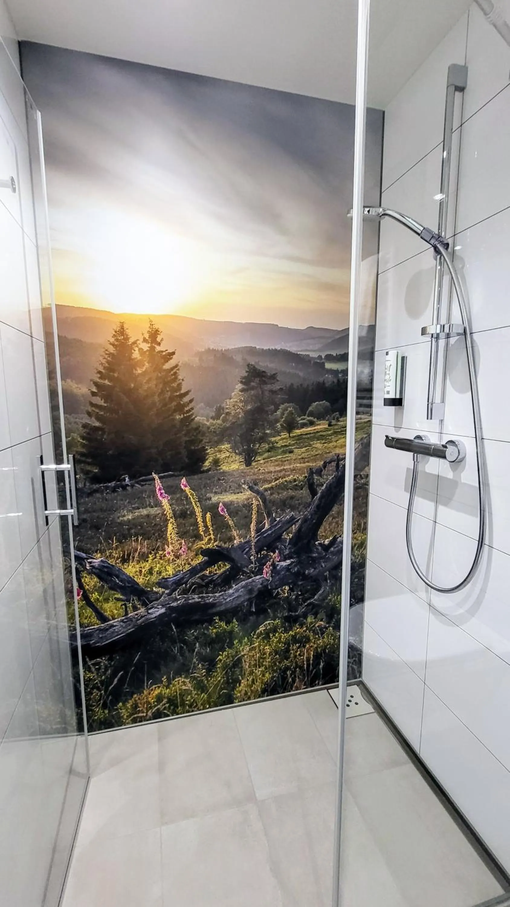 Shower in Mountain View Hotel Willingen, BW Signature Collection