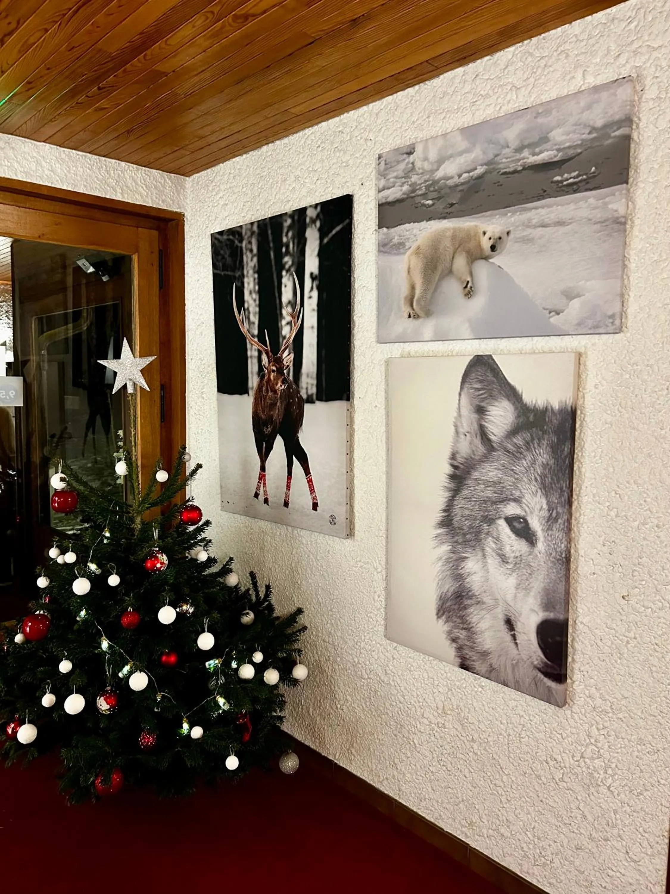 Living room in Hotel Bel'alpe