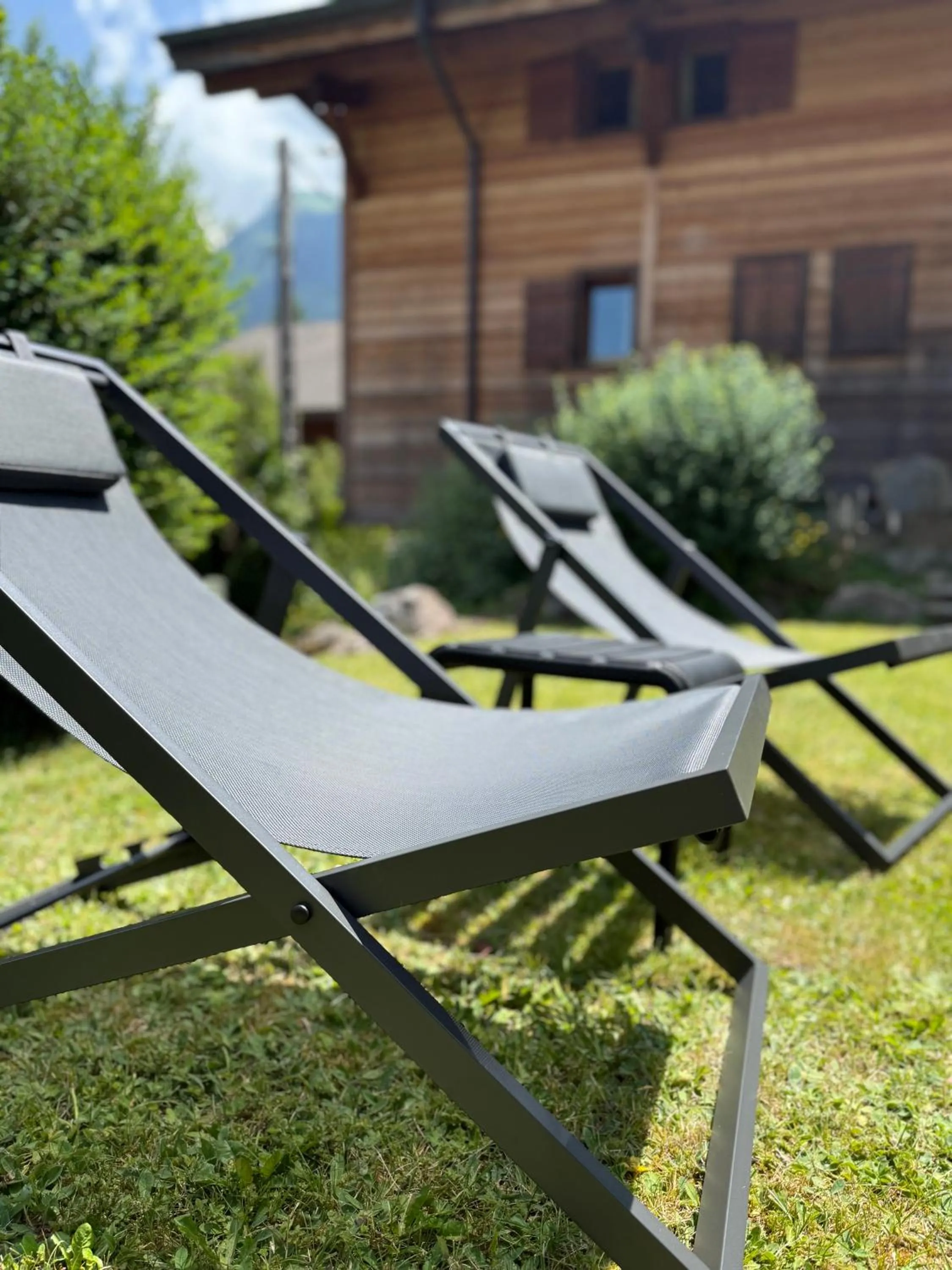 Garden in Hotel Bel'alpe