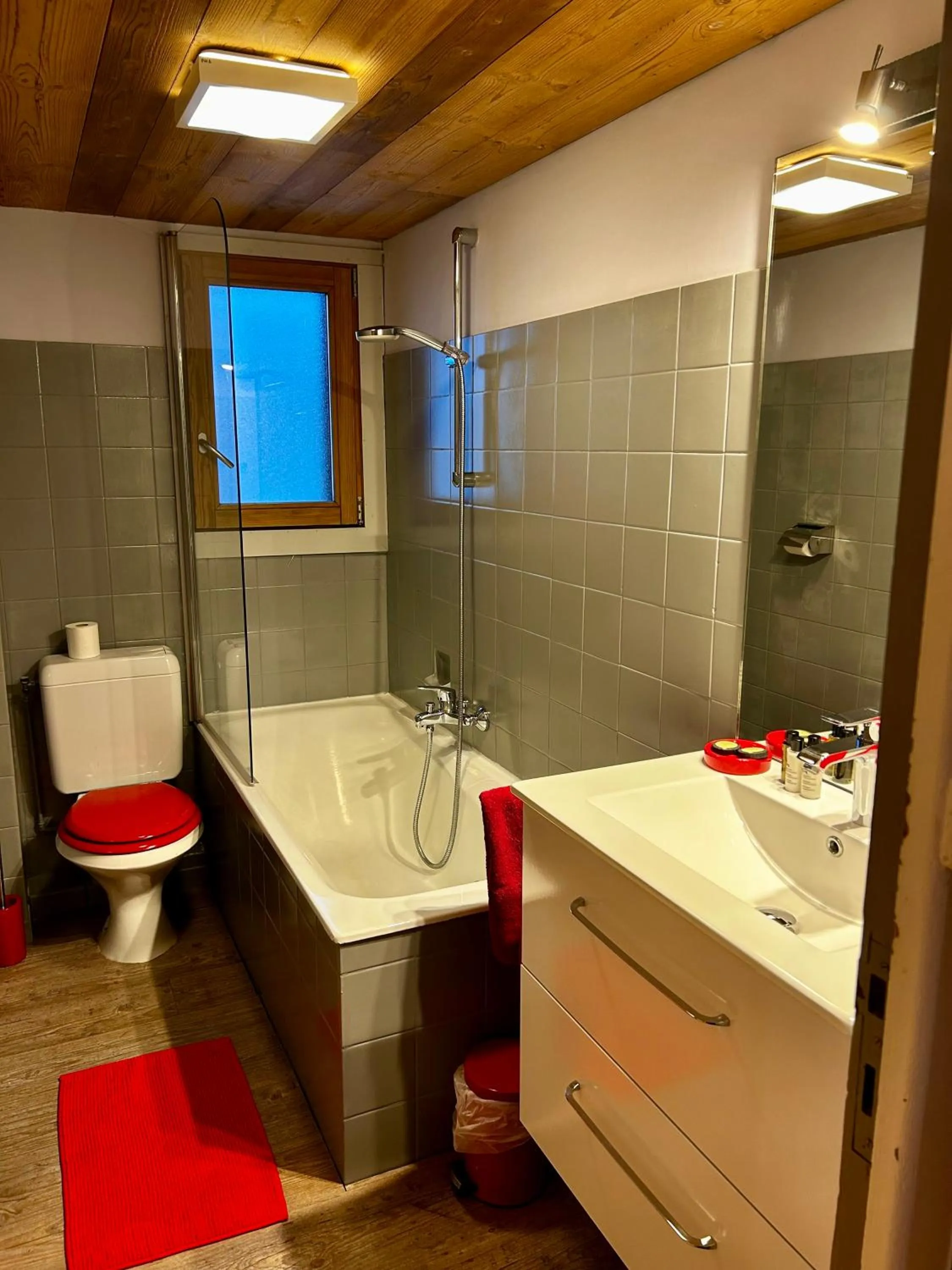 Toilet in Hotel Bel'alpe