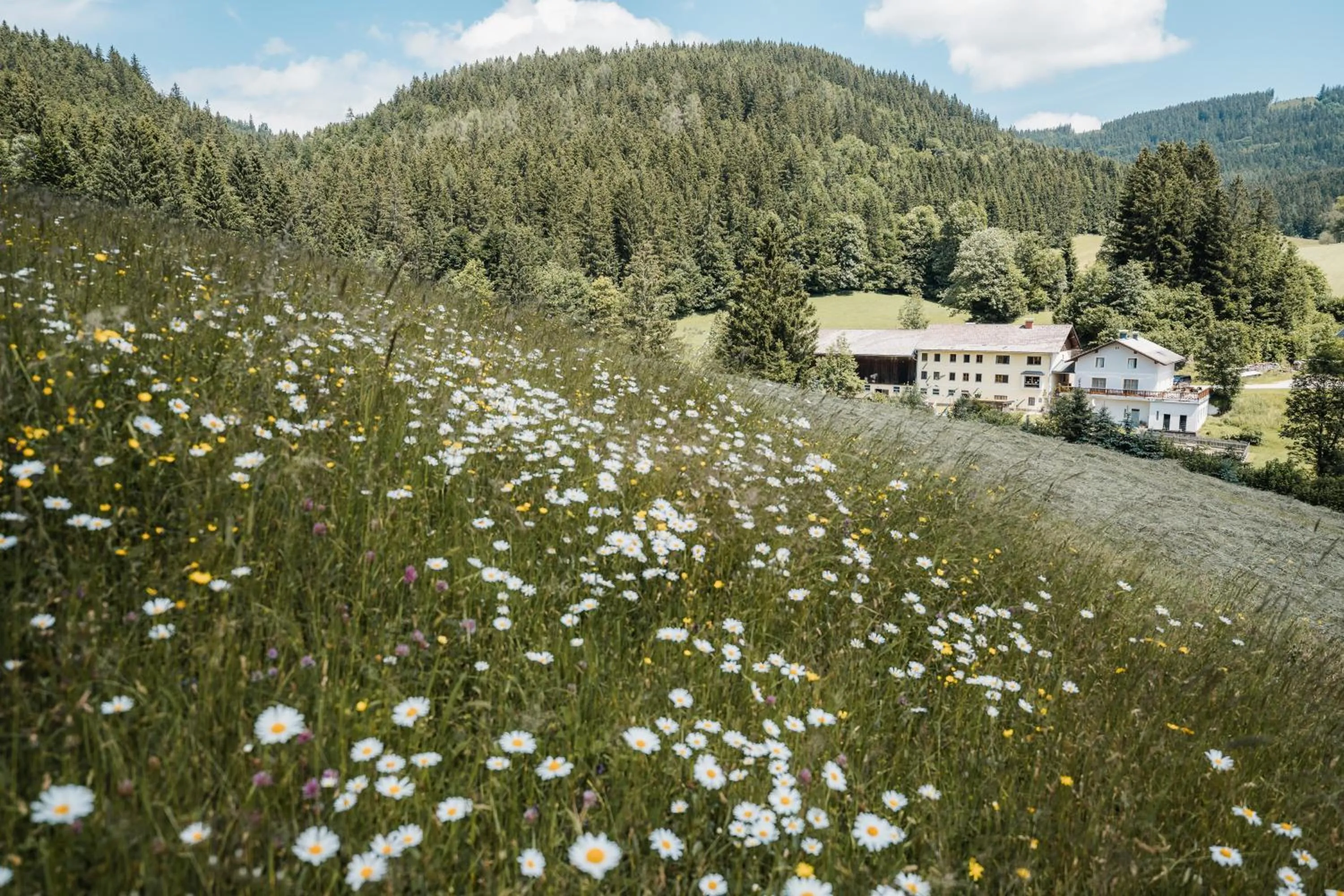 Biohof Teufel