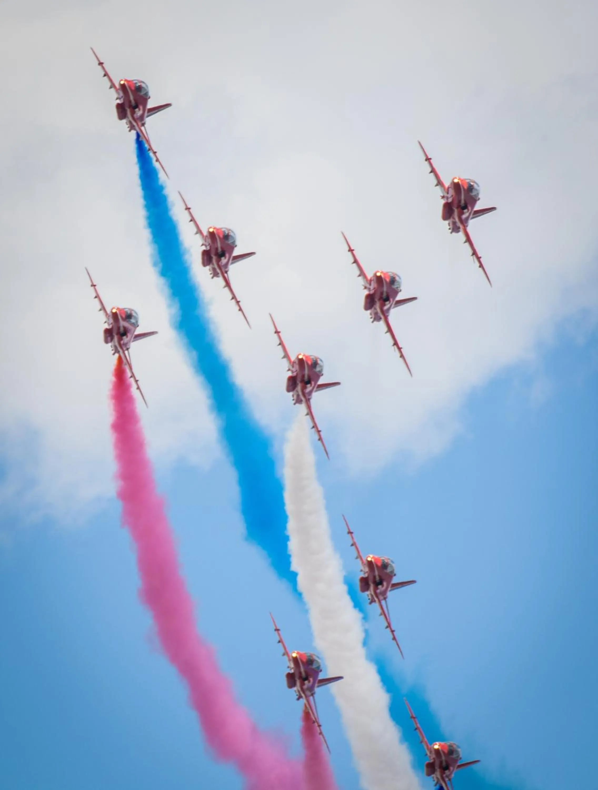 Activities in Dolphin Rooms