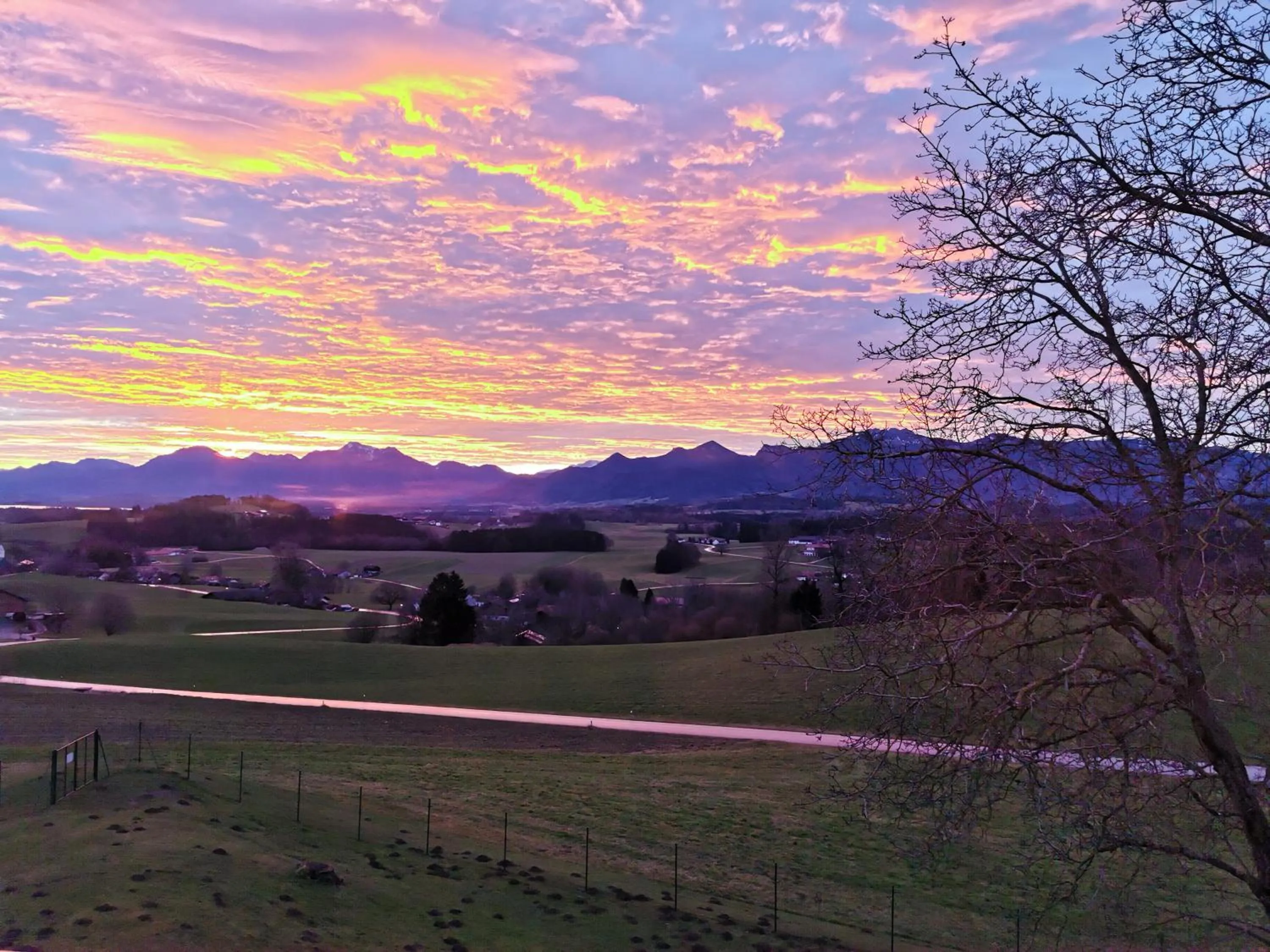 Berg Hotel Weingarten Garni