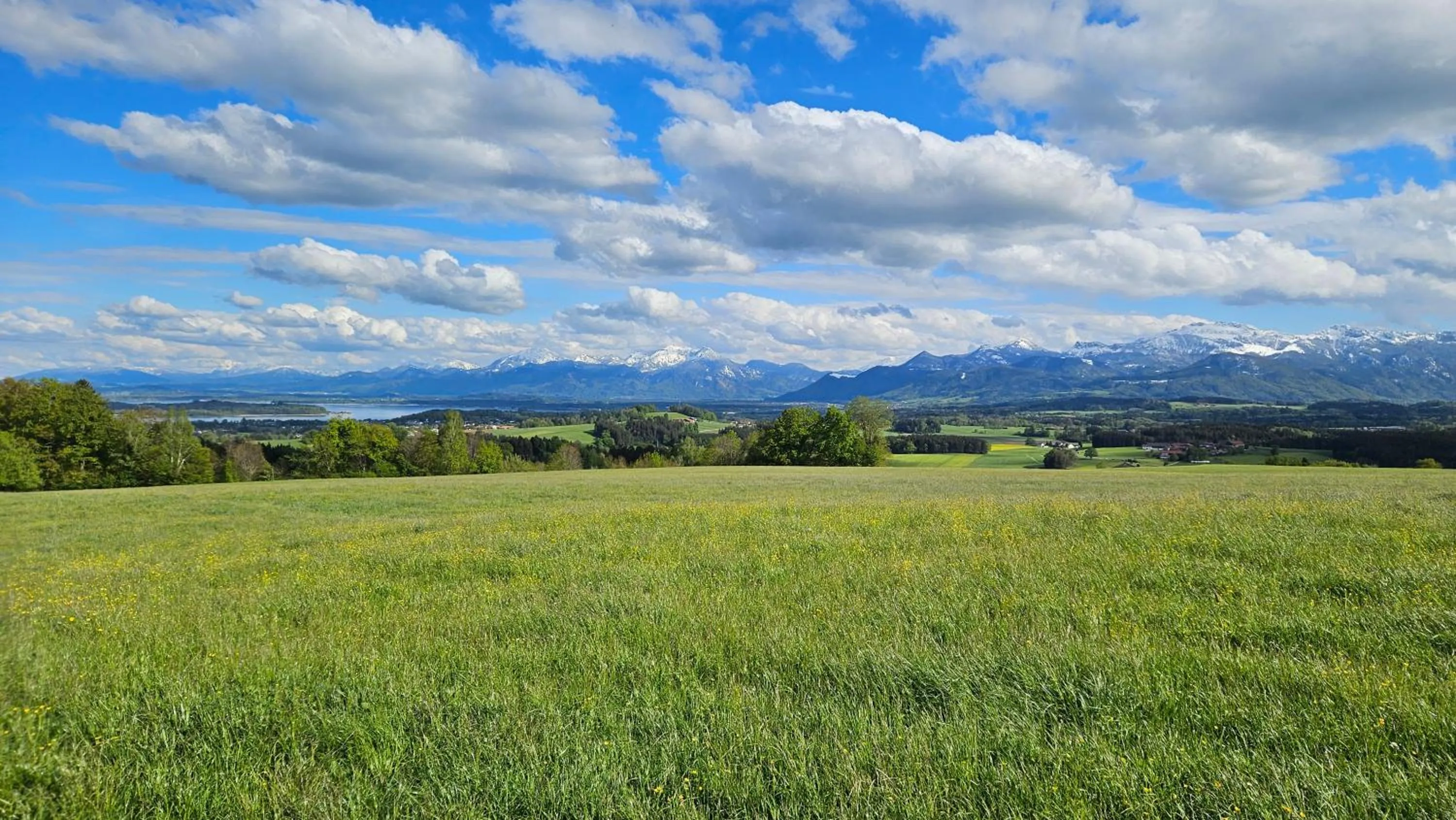 Berg Hotel Weingarten Garni