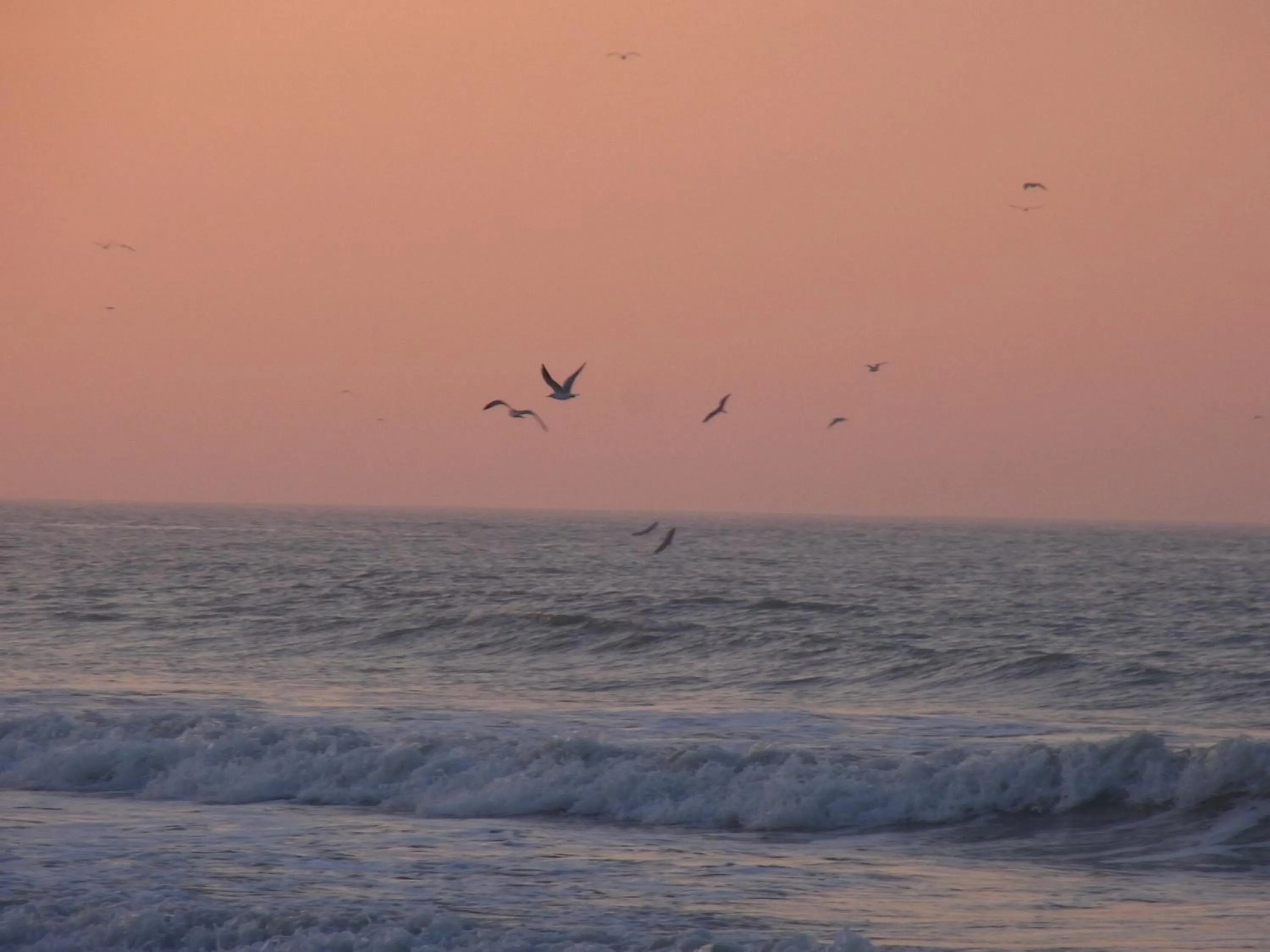 Natural landscape in VVF Blériot-Plage