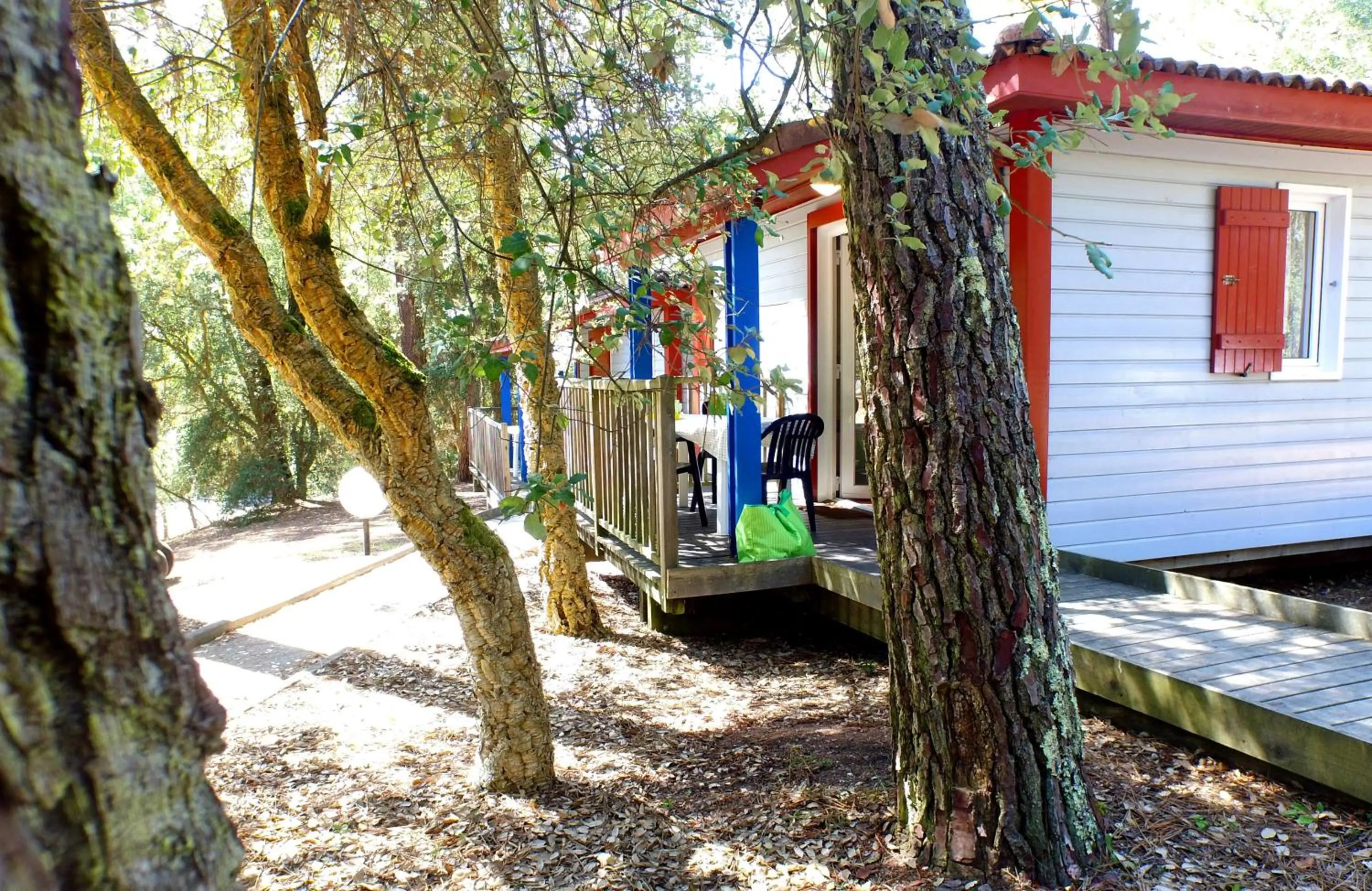 Garden in VVF Landes Moliets