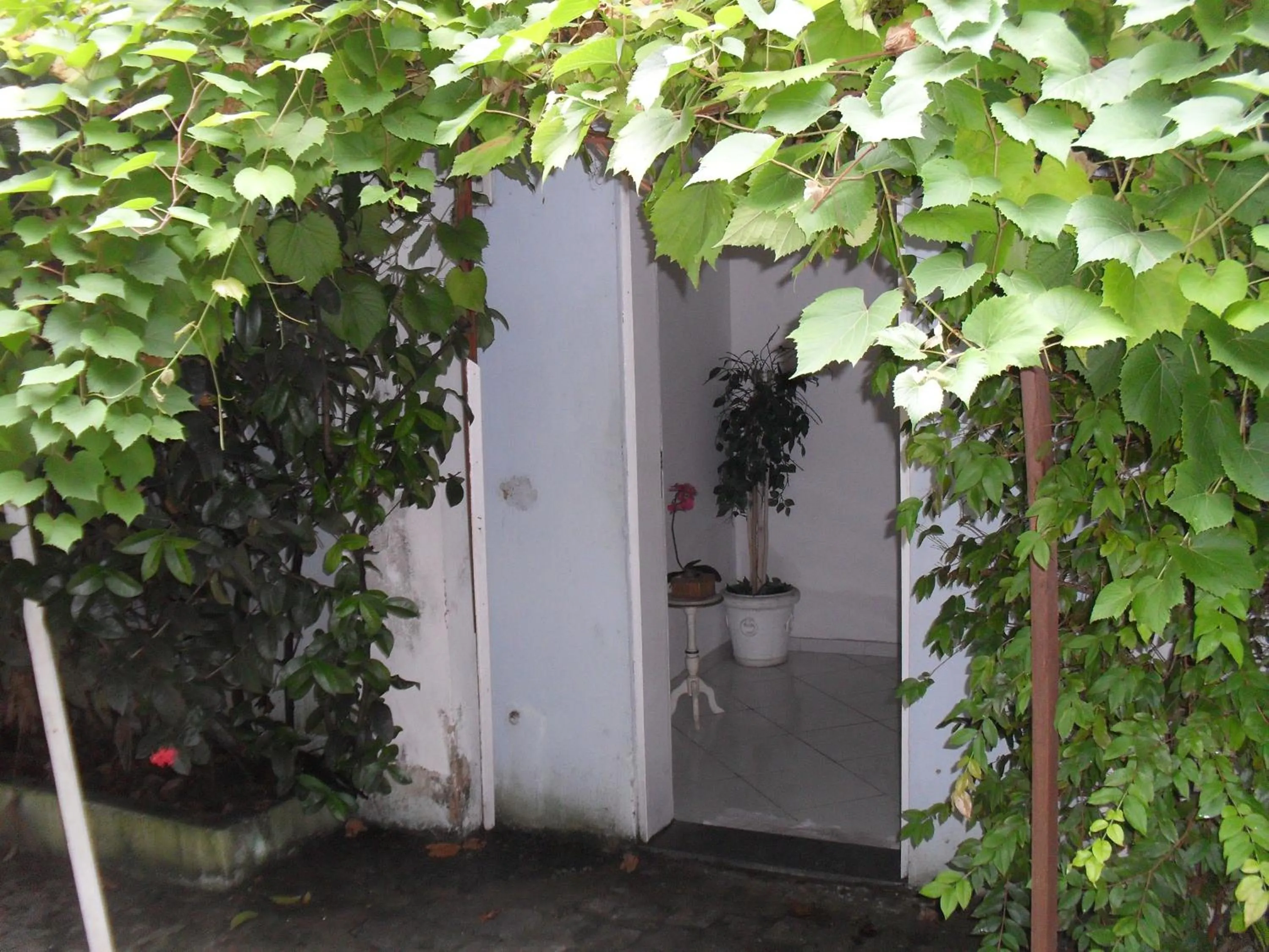 Garden in Pousada Barroco na Bahia