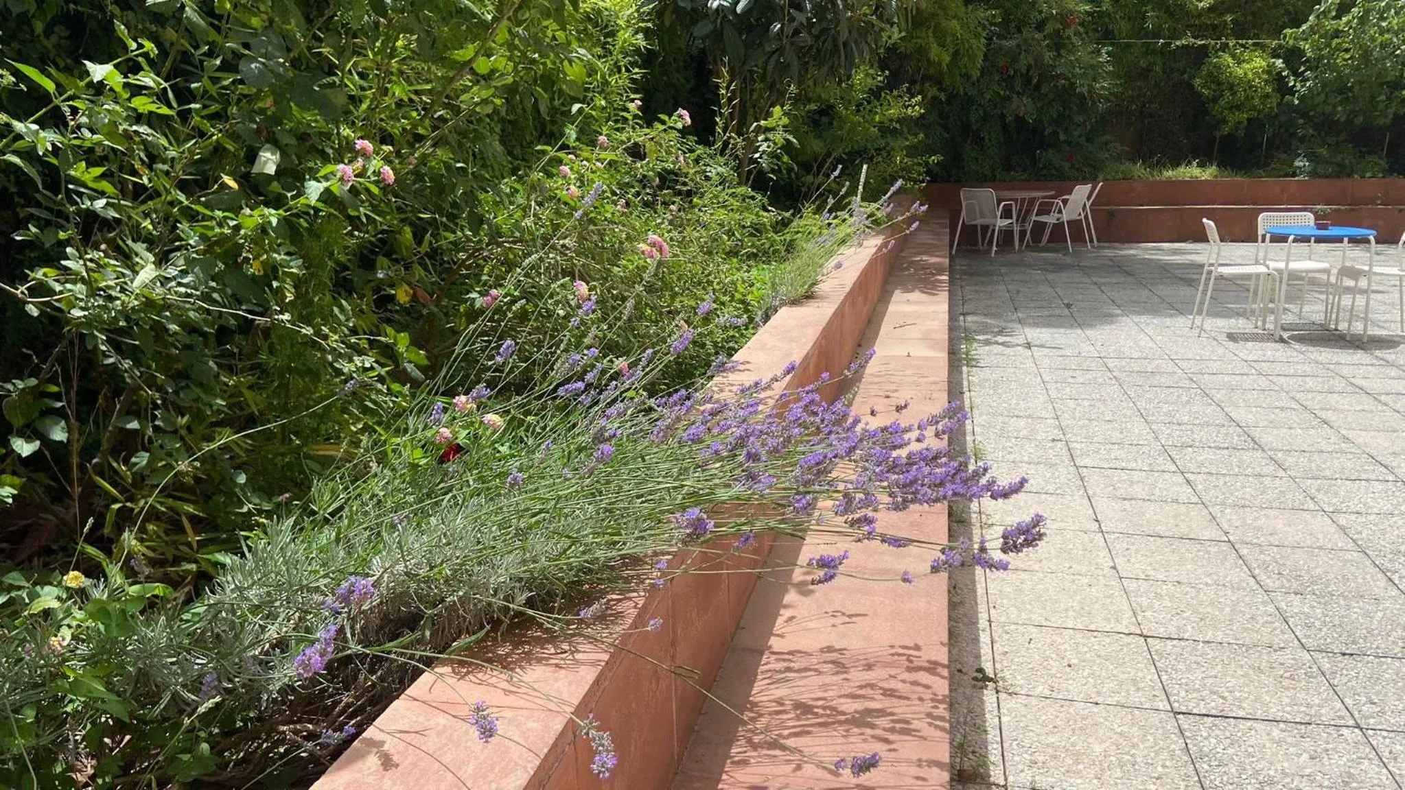 Patio in Residència Universitaria Pare Claret