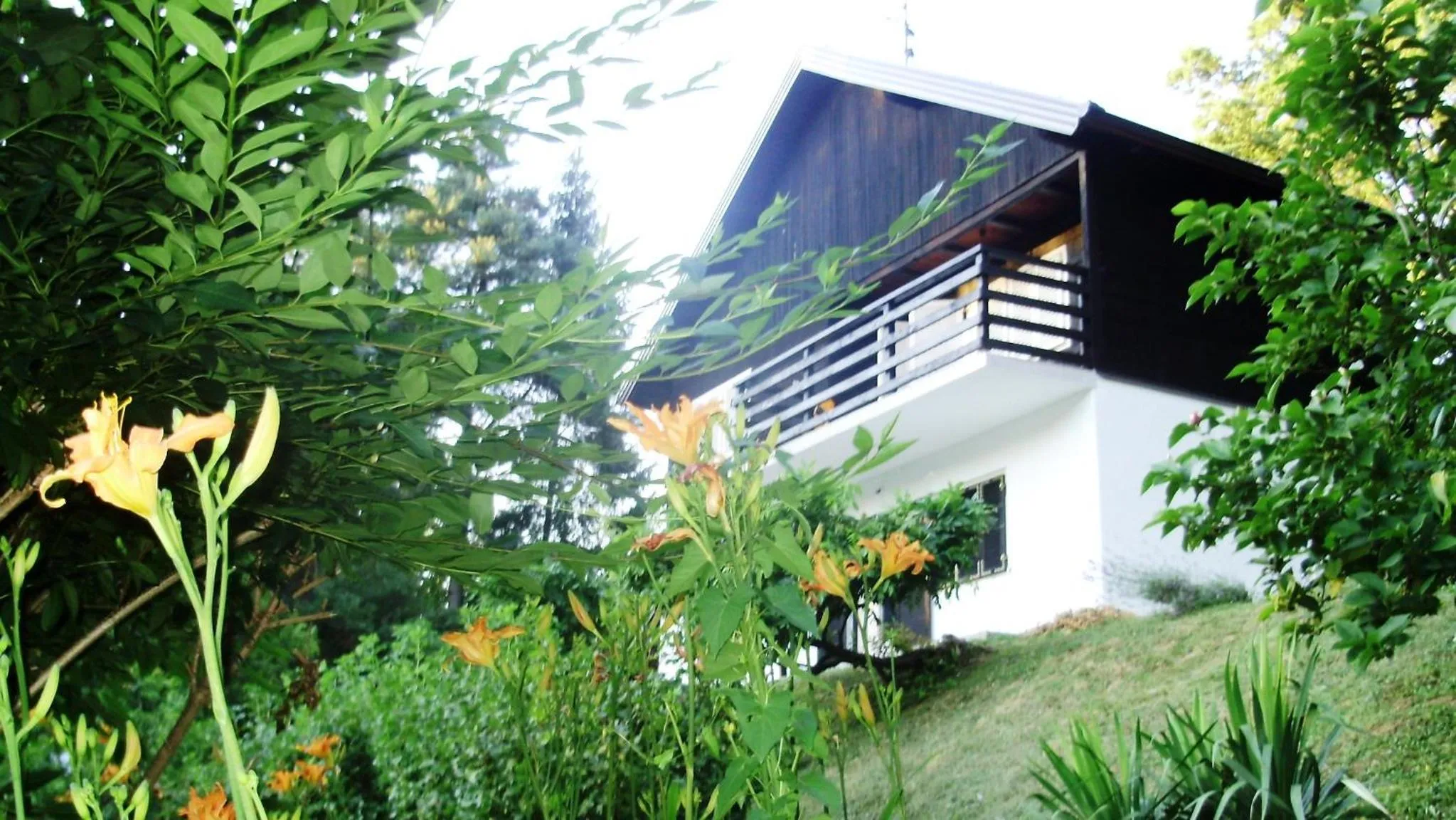 Property building in Kuća za odmor Trnac