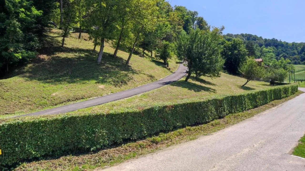 Garden view in Kuća za odmor Trnac
