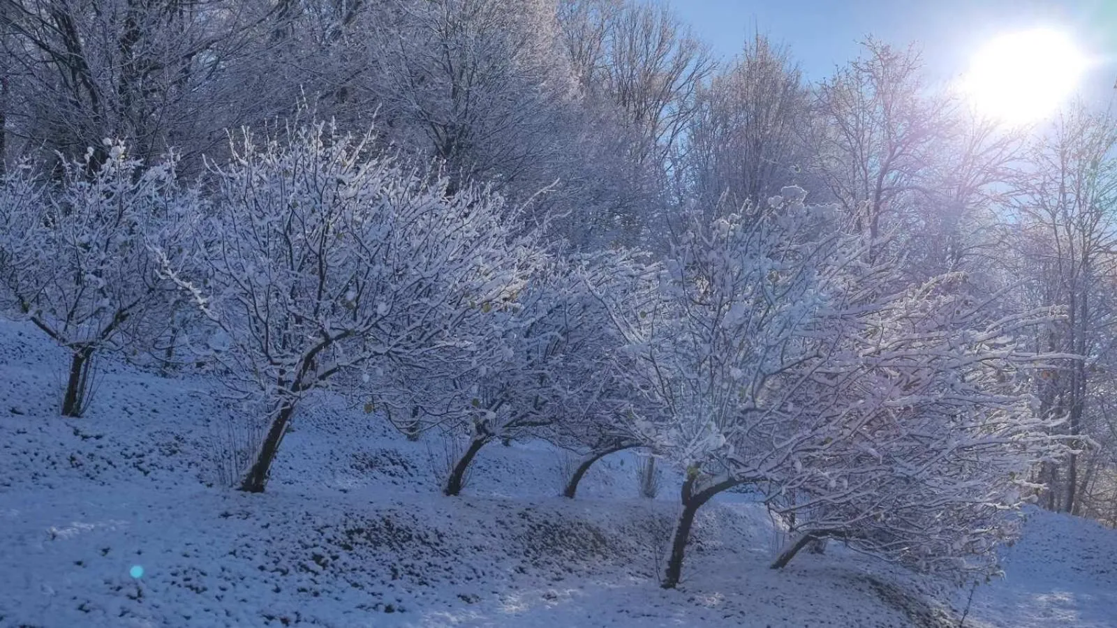 Winter in Kuća za odmor Trnac