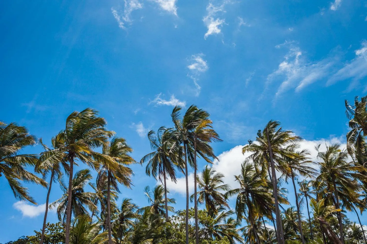 Capricorn Beach Cottages