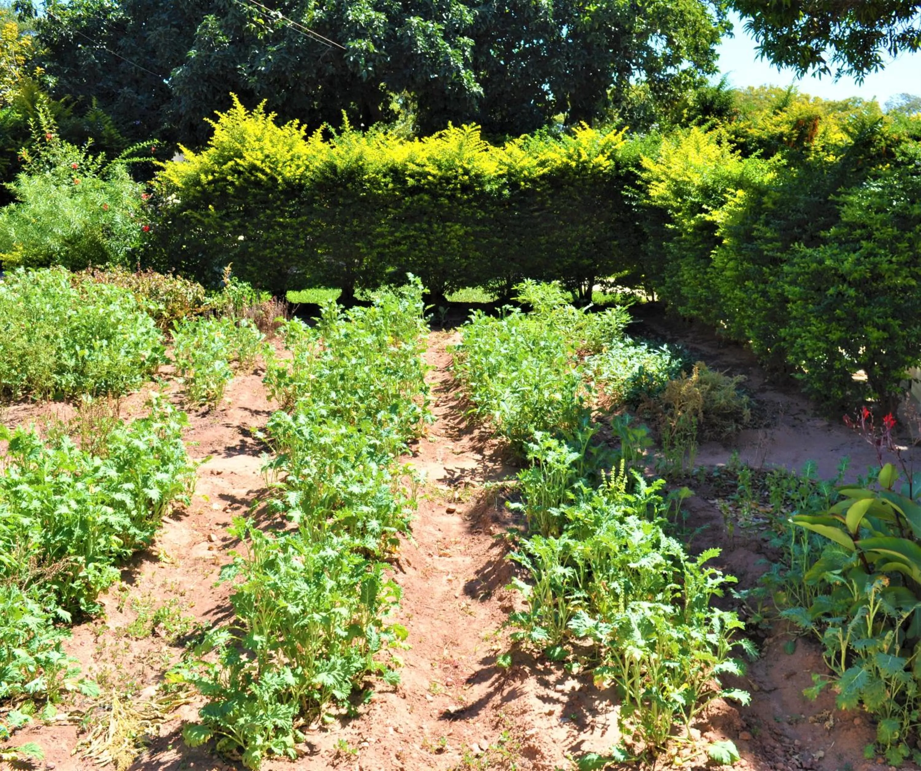 Natwange Backpackers