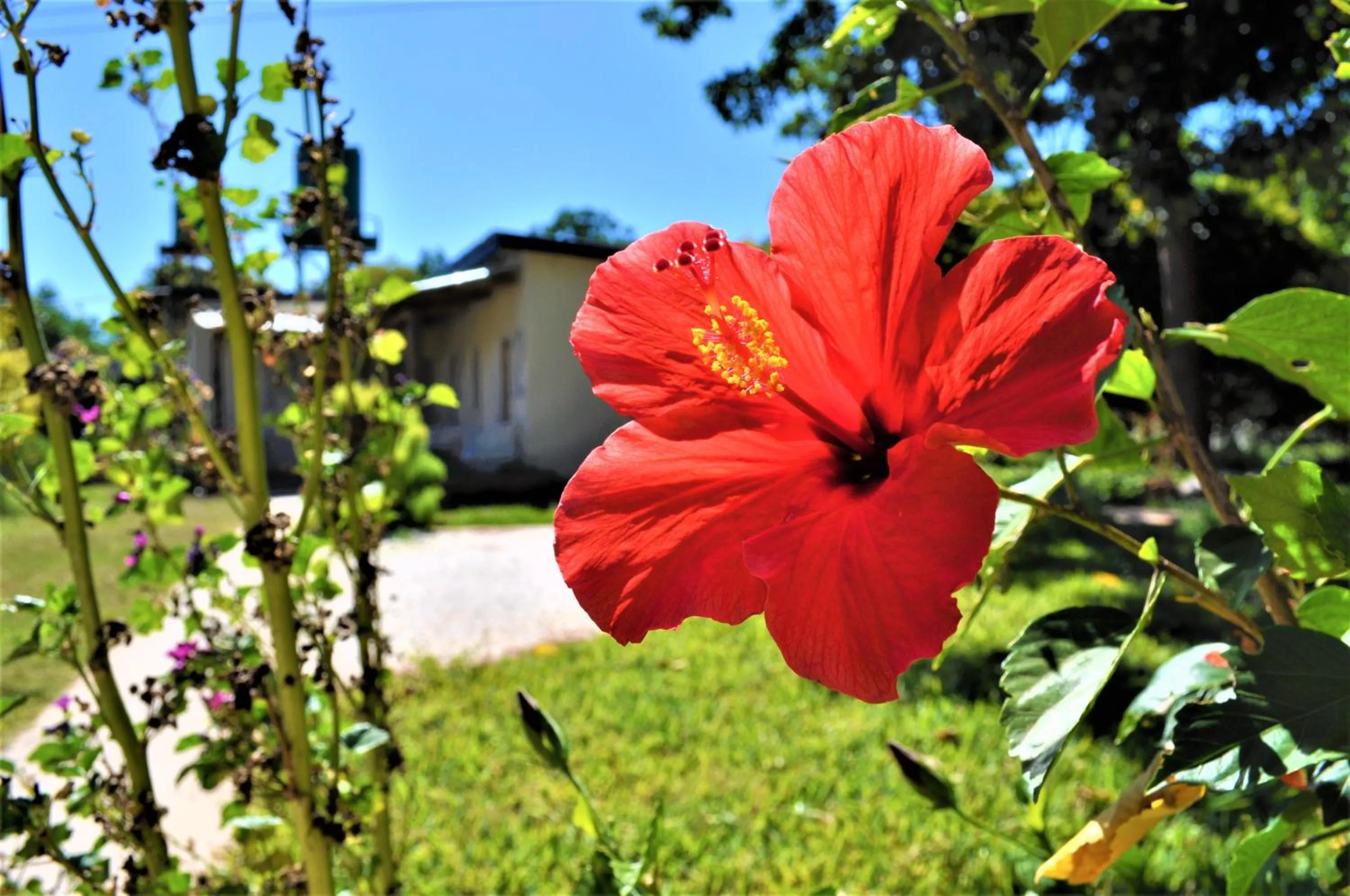 Natwange Backpackers