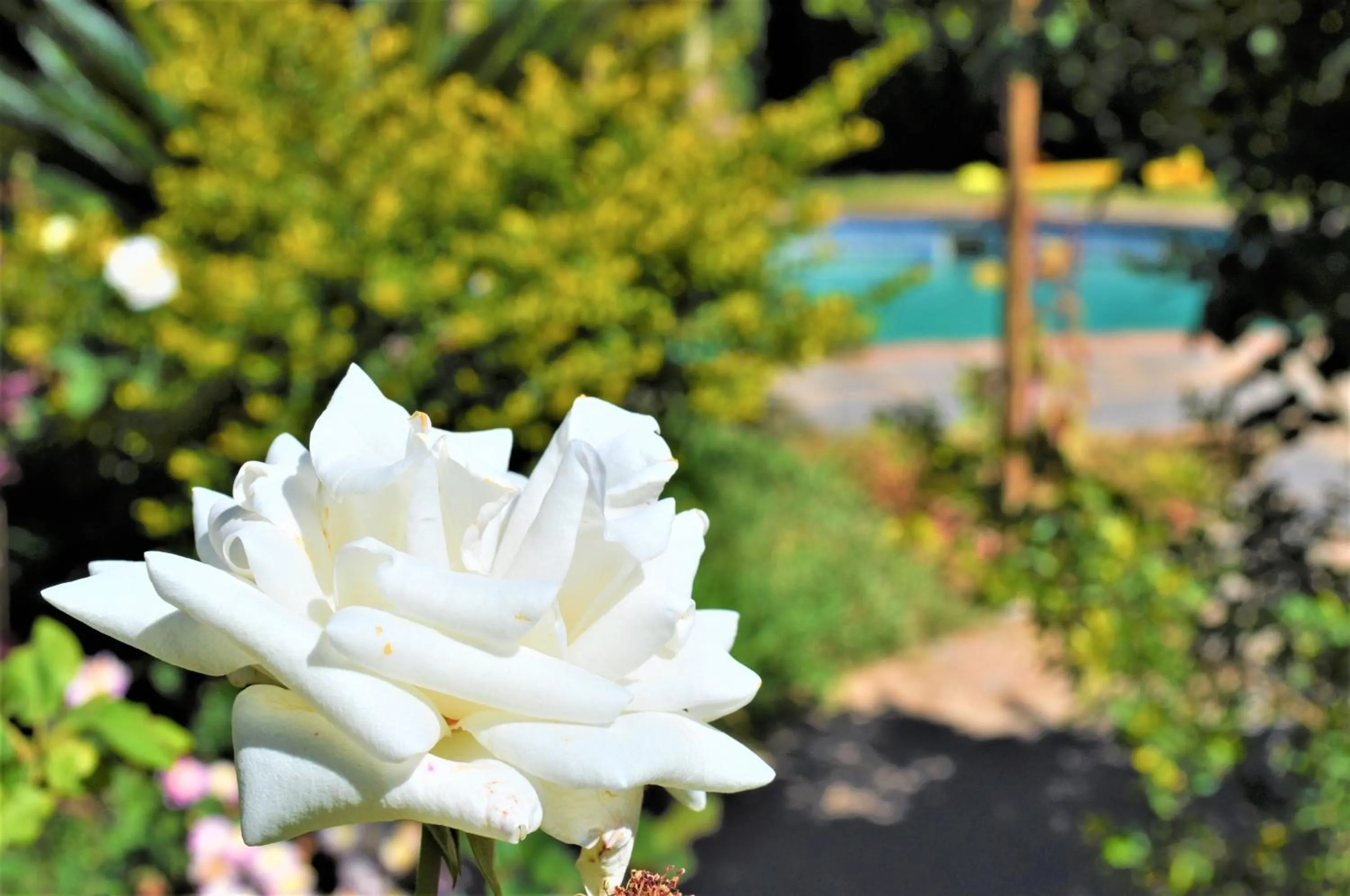 Natwange Backpackers