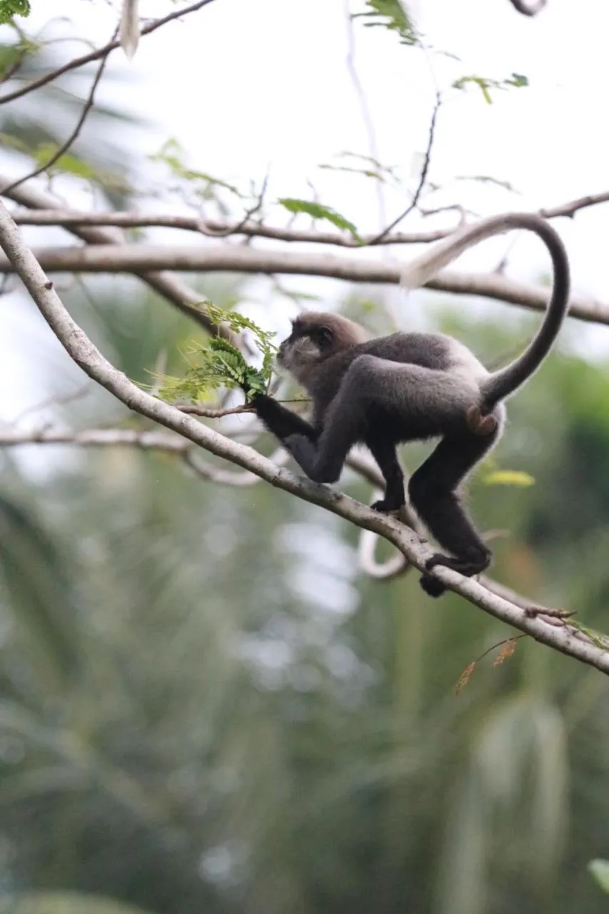 Property building in Lilly House