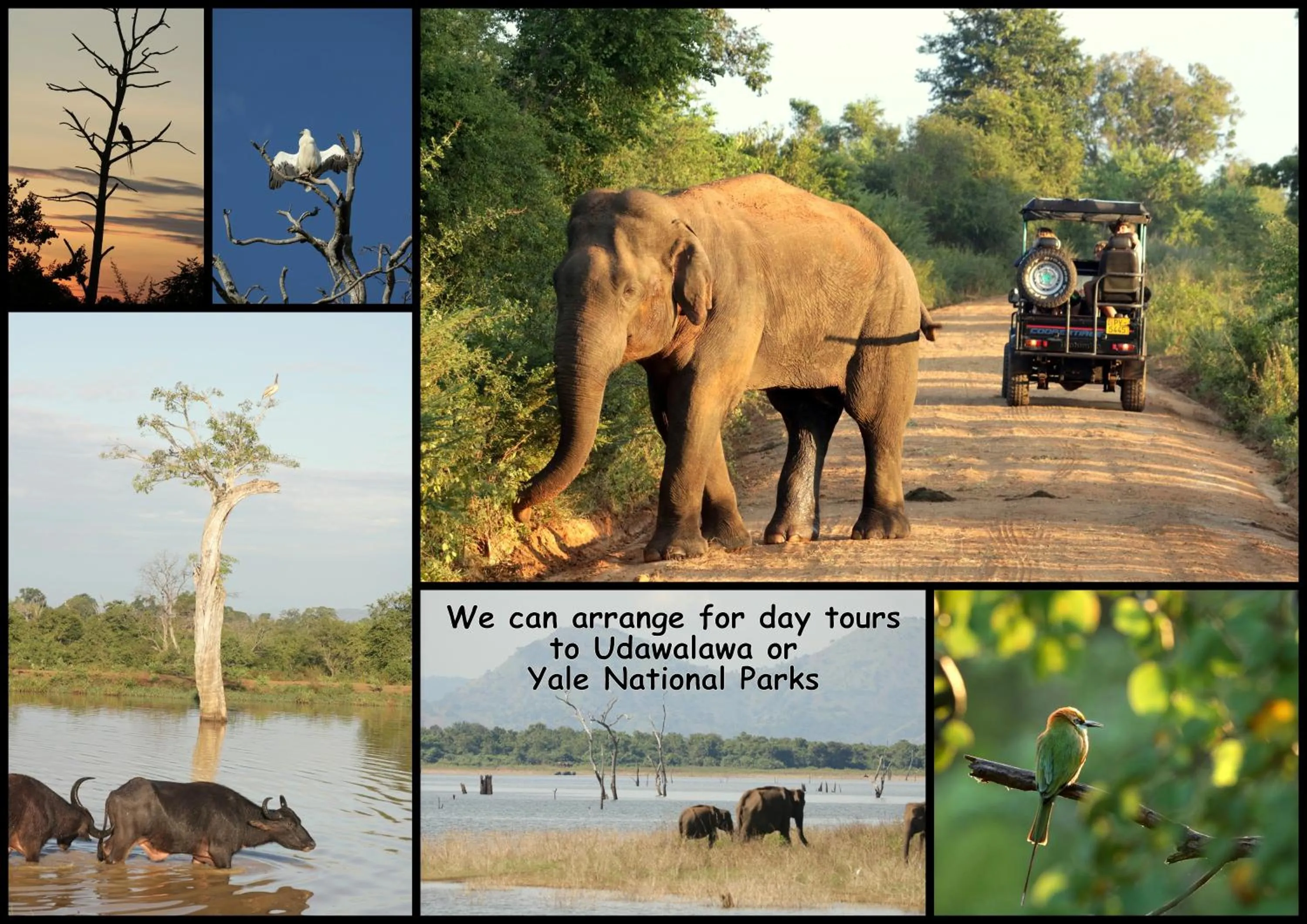 Activities in Lilly House