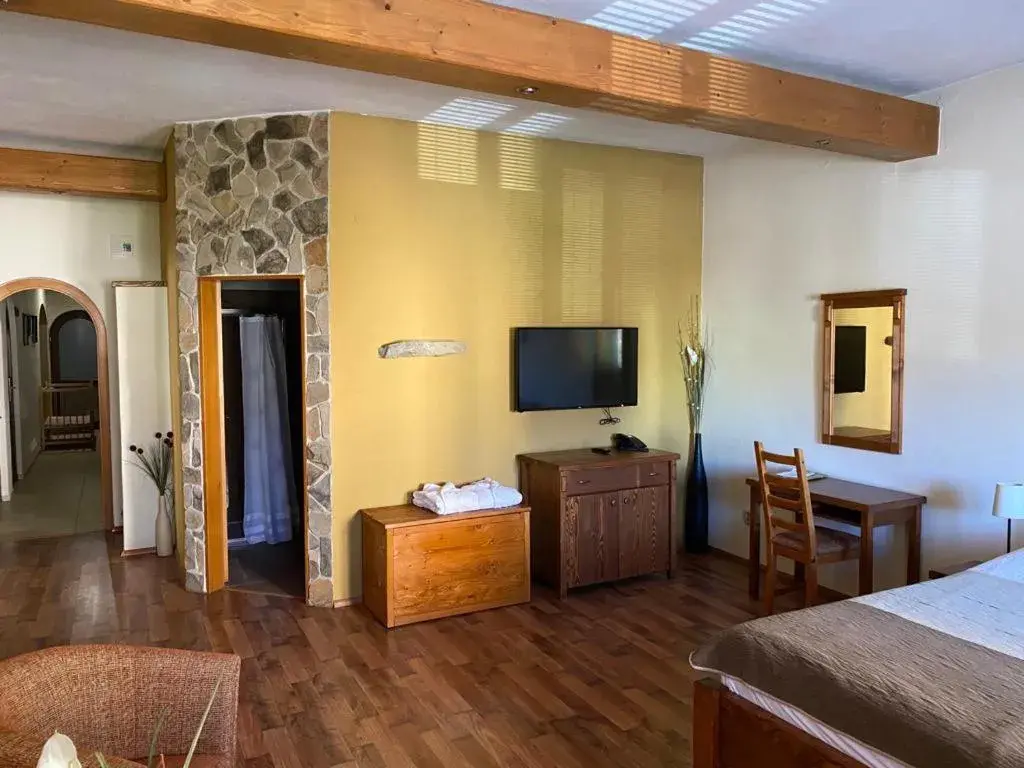 Double Room - single occupancy in Penzion Venuša Double Room - single occupancy in Penzion Venuša