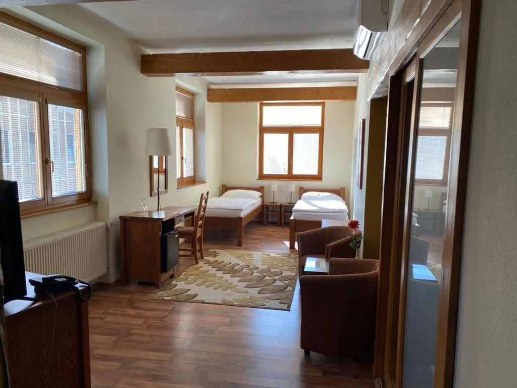 Twin Room - single occupancy in Penzion Venuša