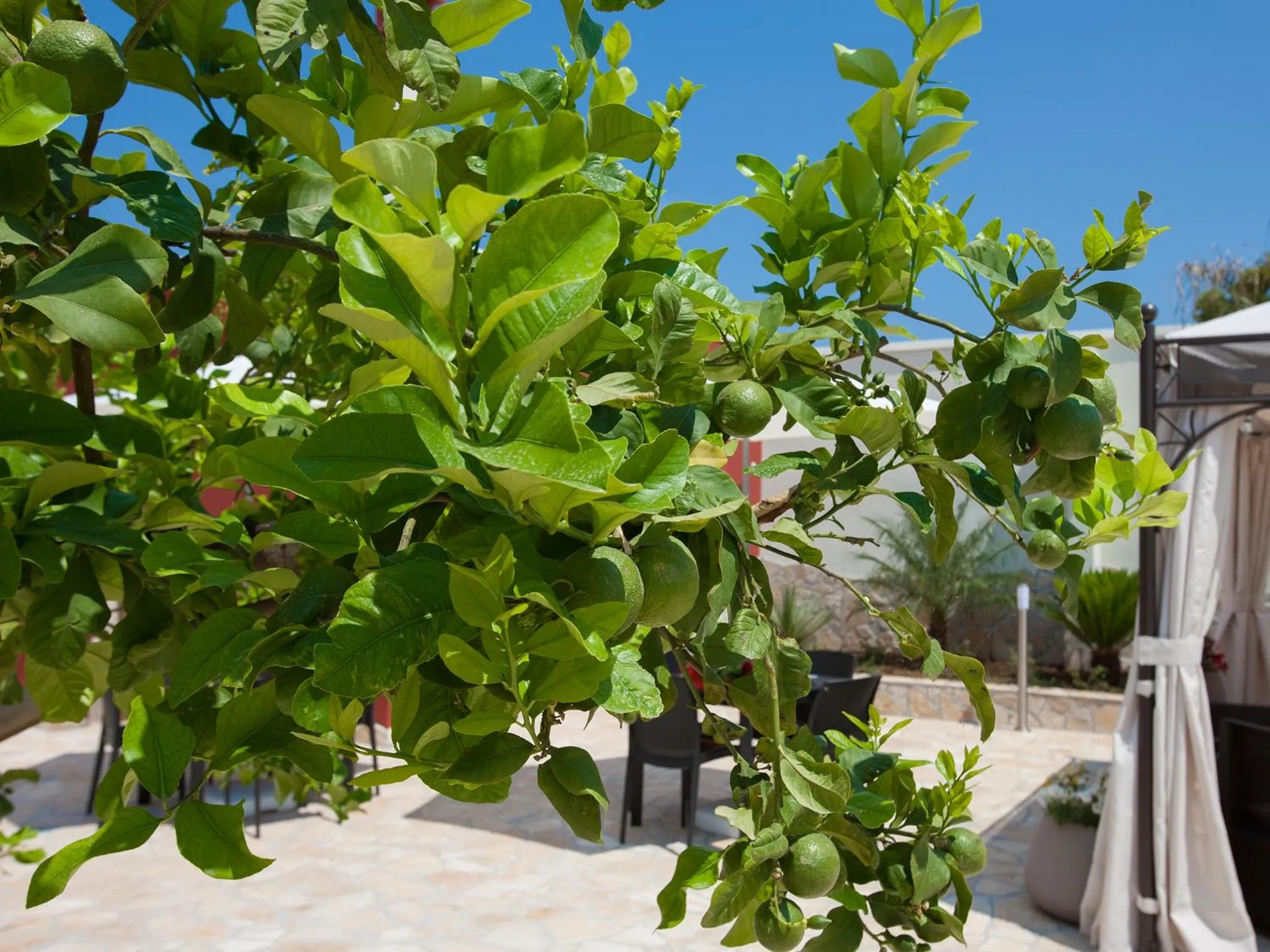 Garden in Bhagya