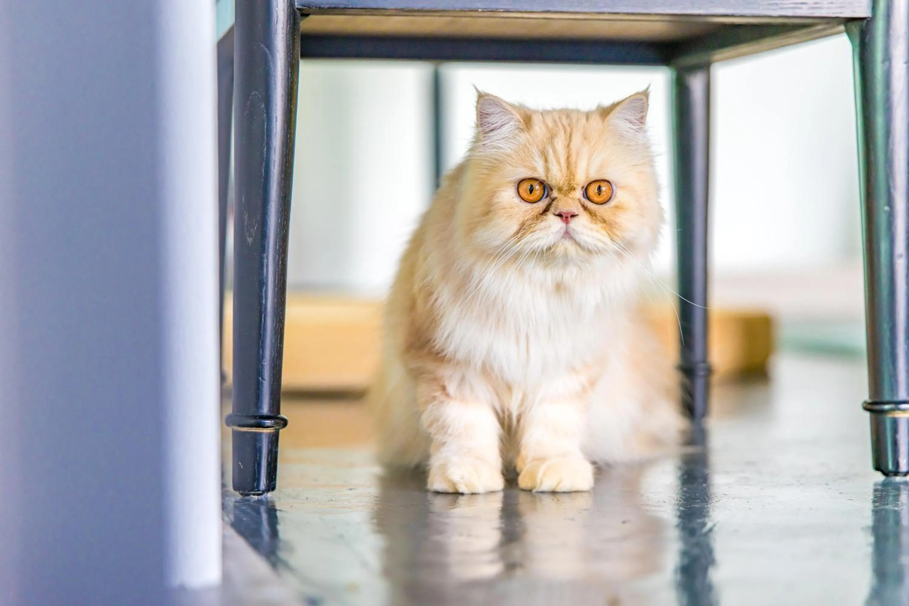 Children play ground in BJ & Radisson Sea View Hotel