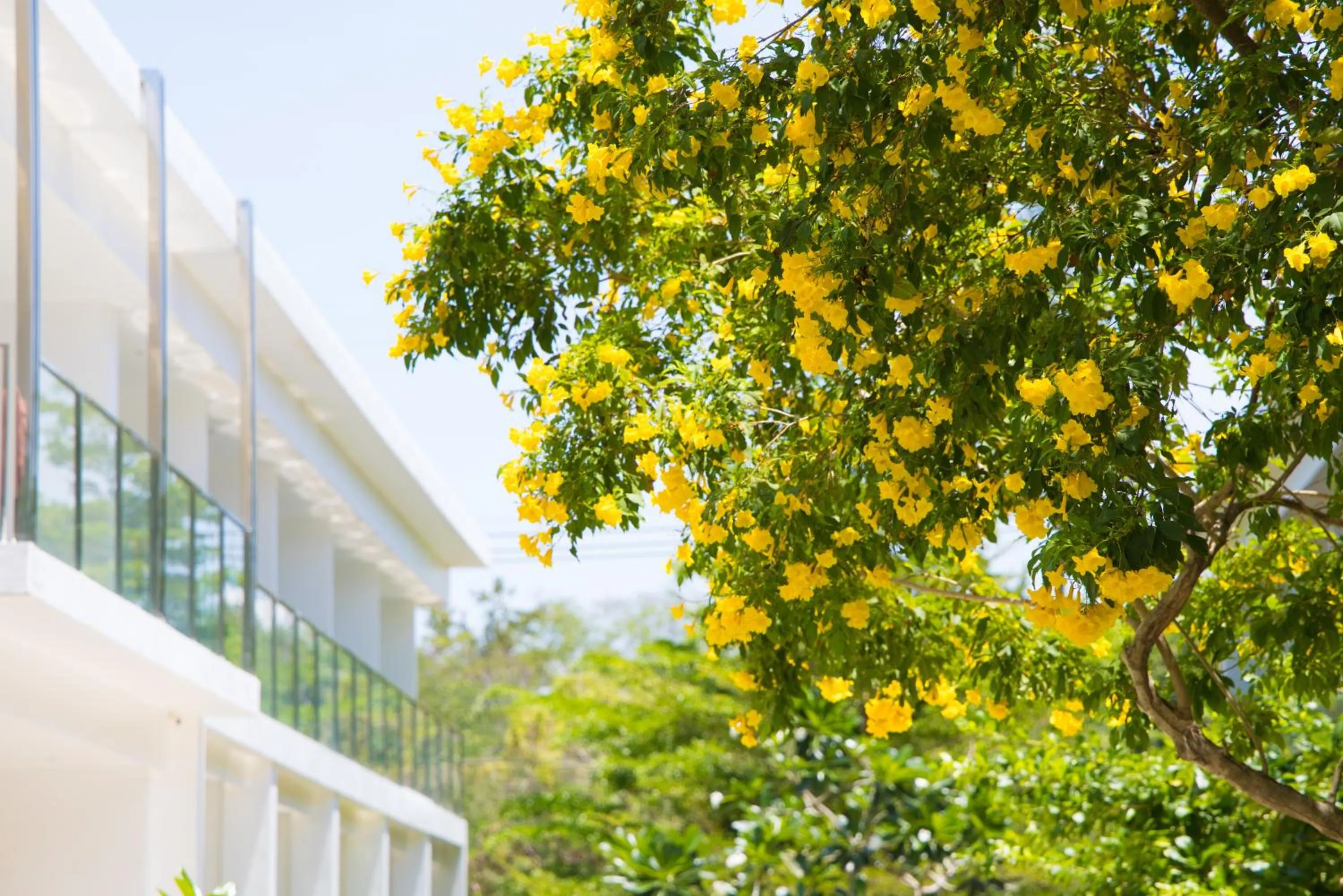 Property building in BJ & Radisson Sea View Hotel