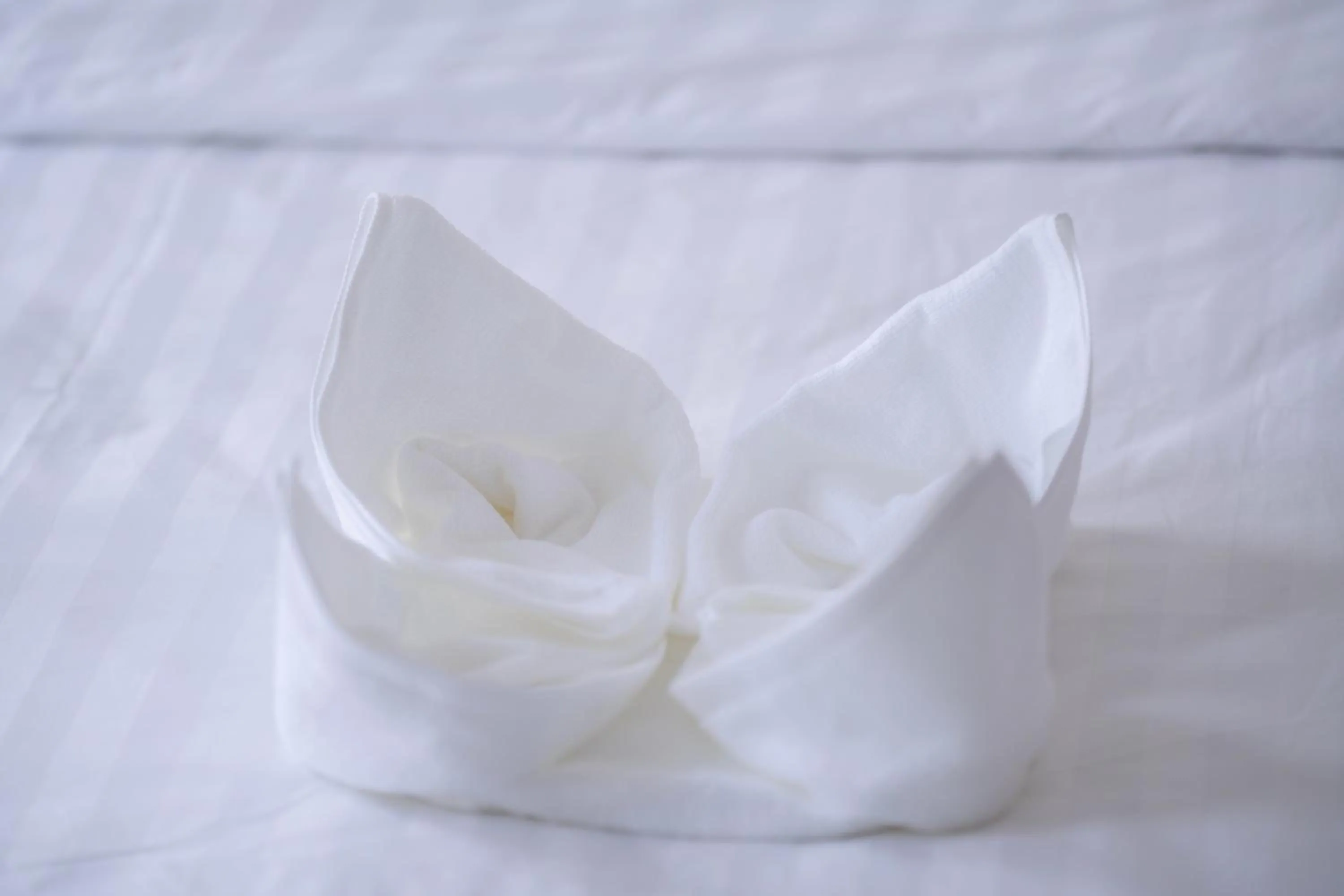 towels in Bona Hotel