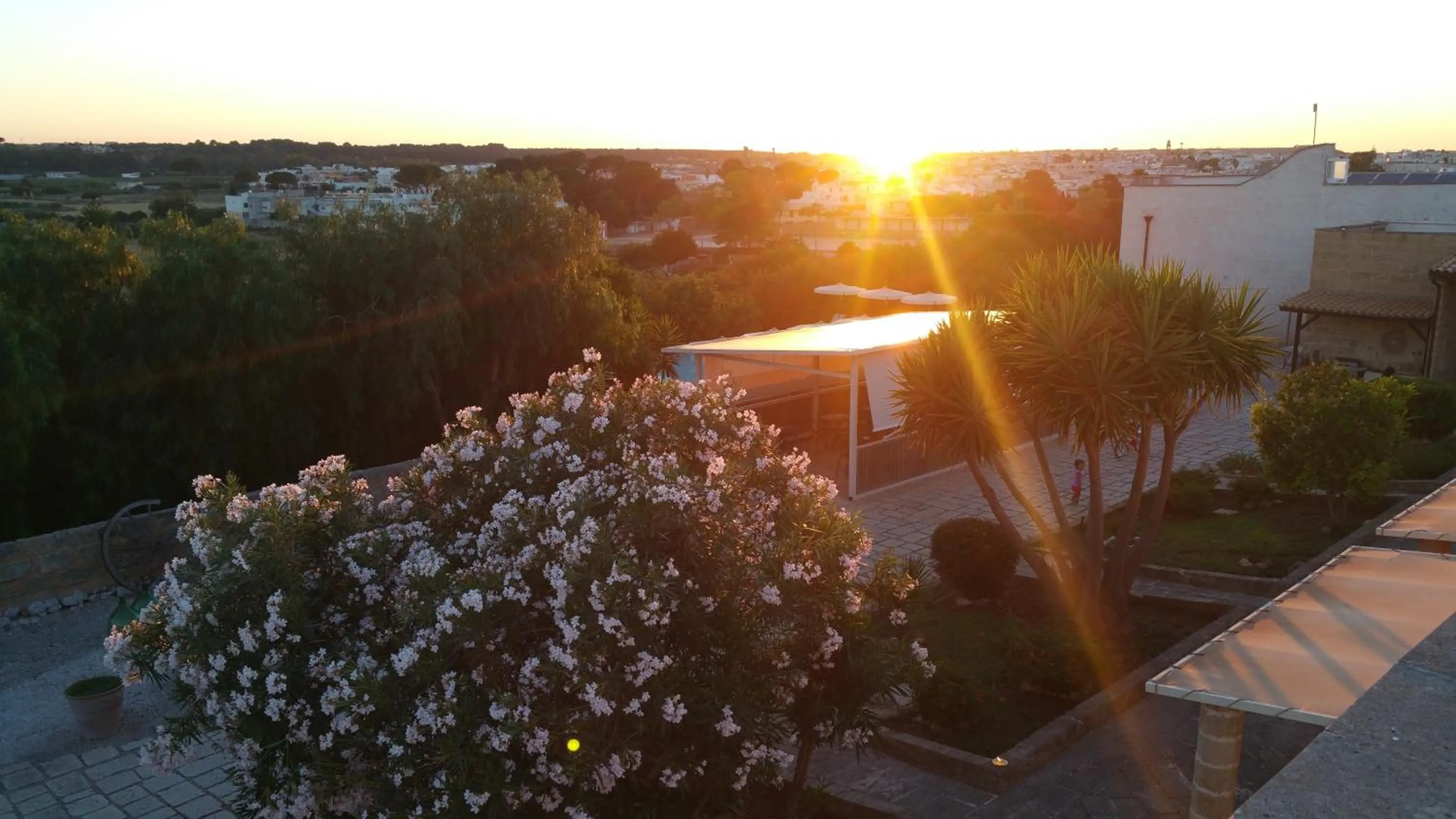 Natural landscape in Antica Masseria Pescu