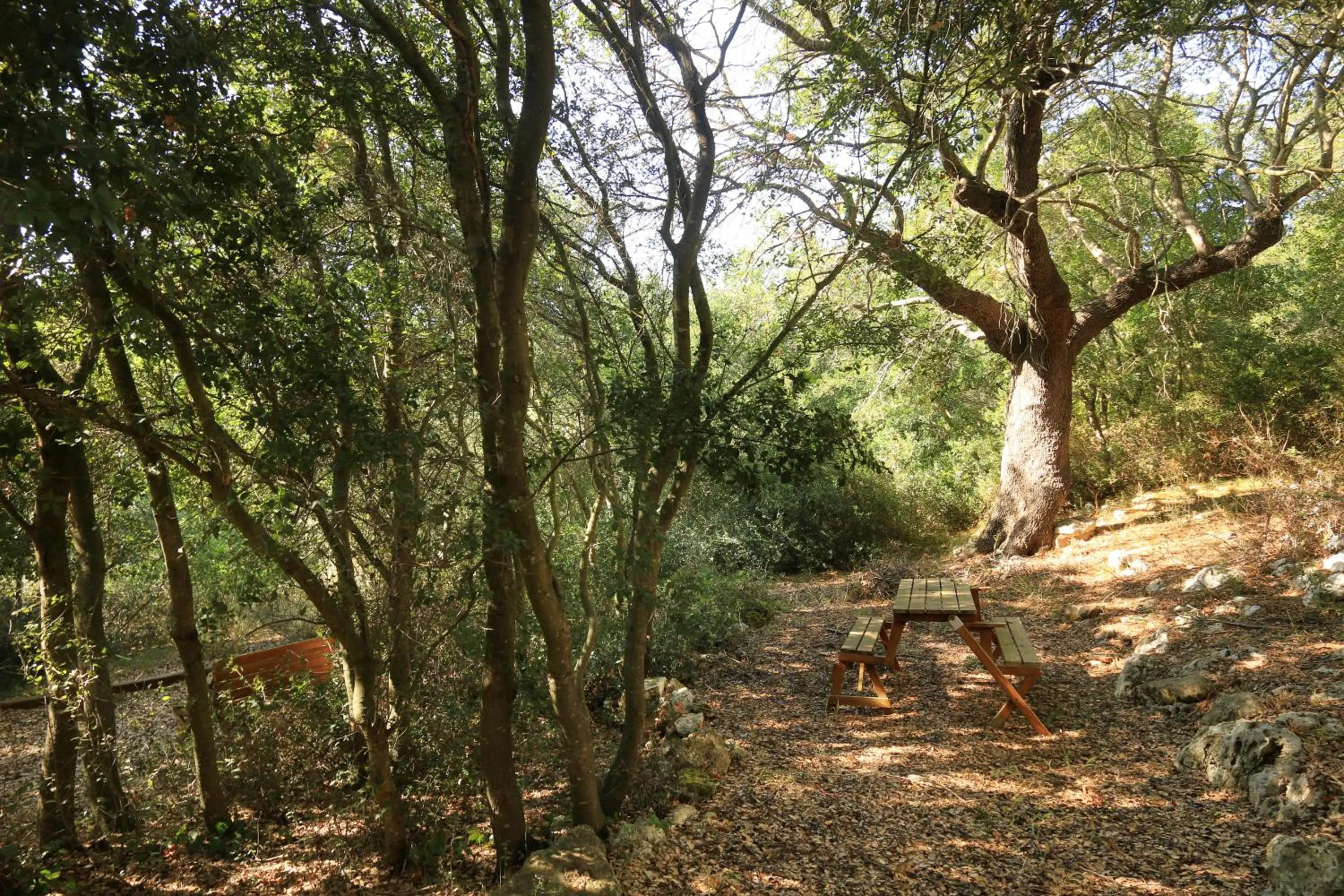 Natural landscape in Antica Masseria Pescu