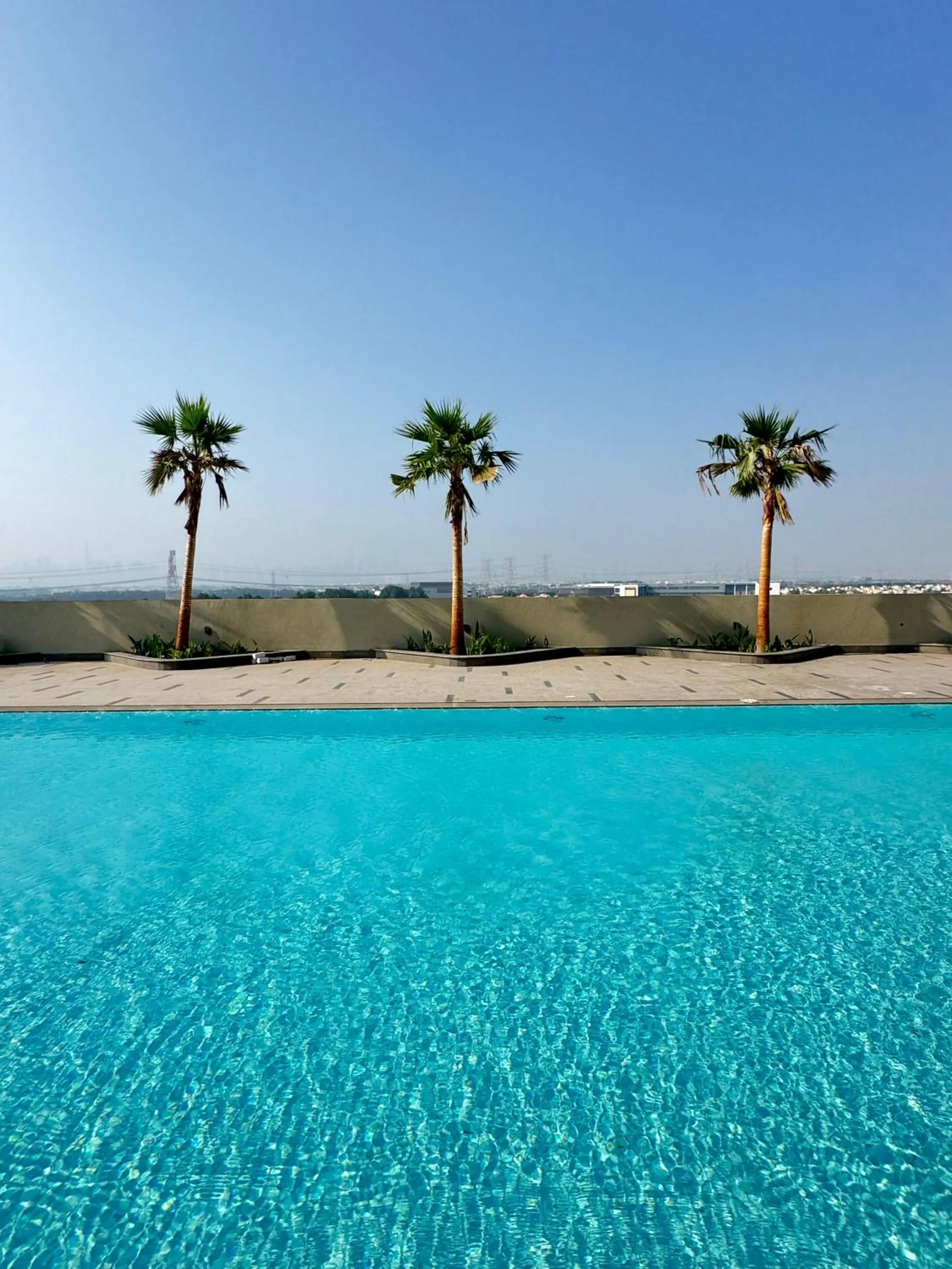 Swimming pool in The Community Jumeirah Village