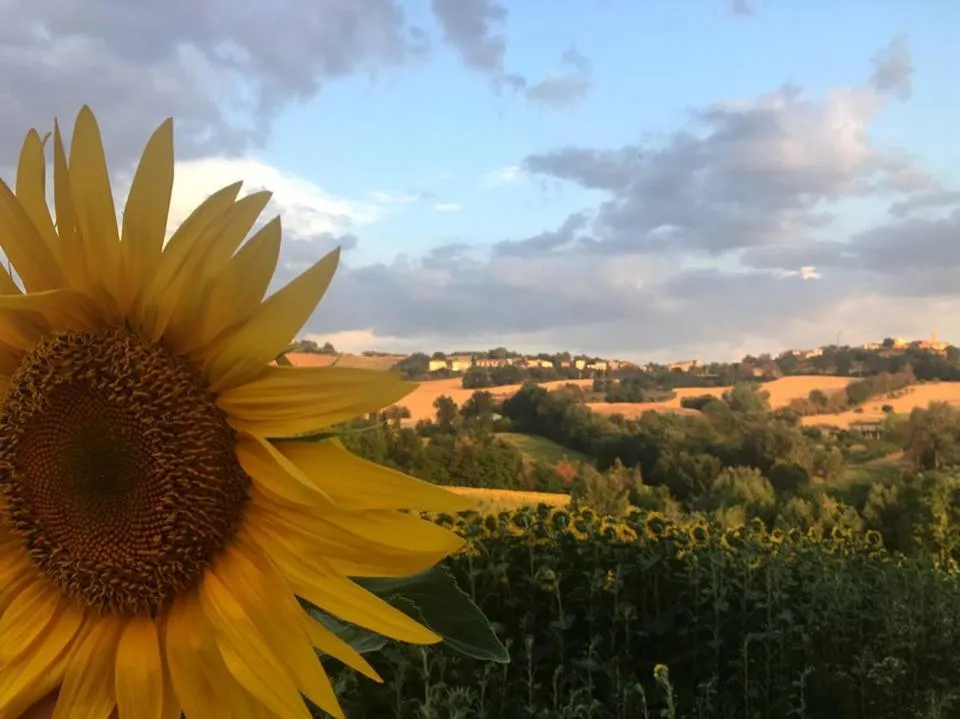 Summer in B&B Il Giardino