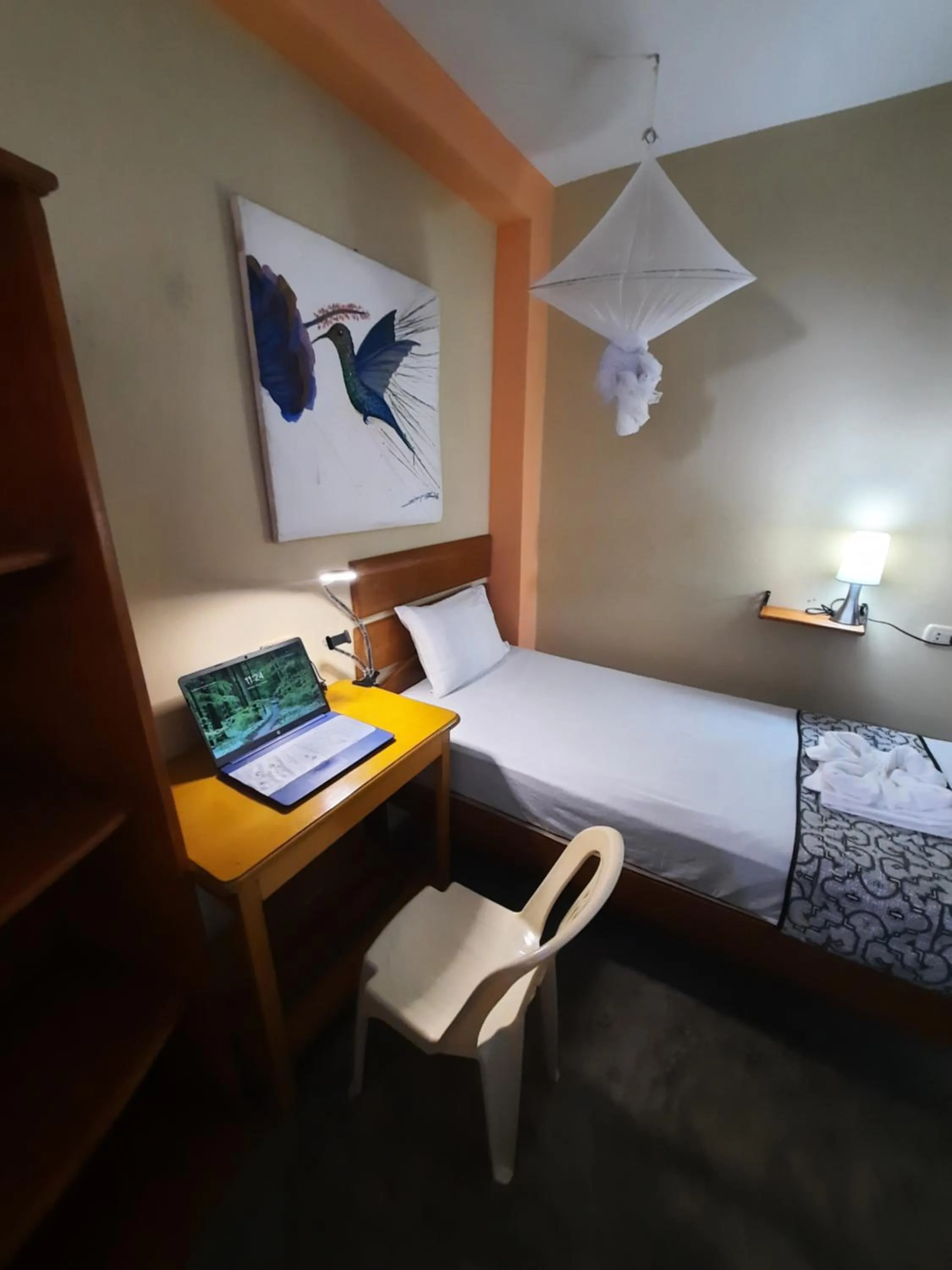 Bed in Amazon House Hostel