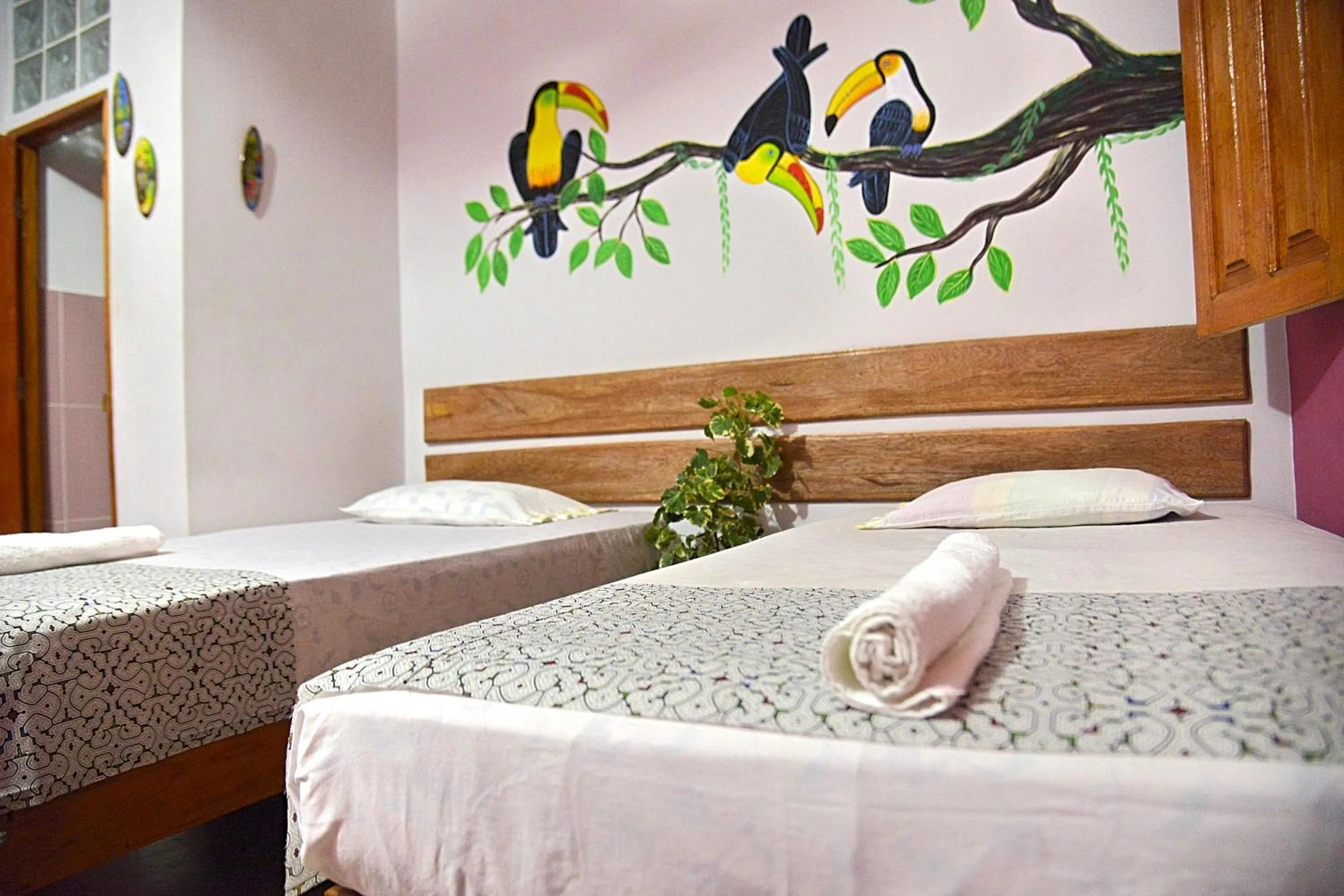 Economy Twin Room in Amazon House Hostel