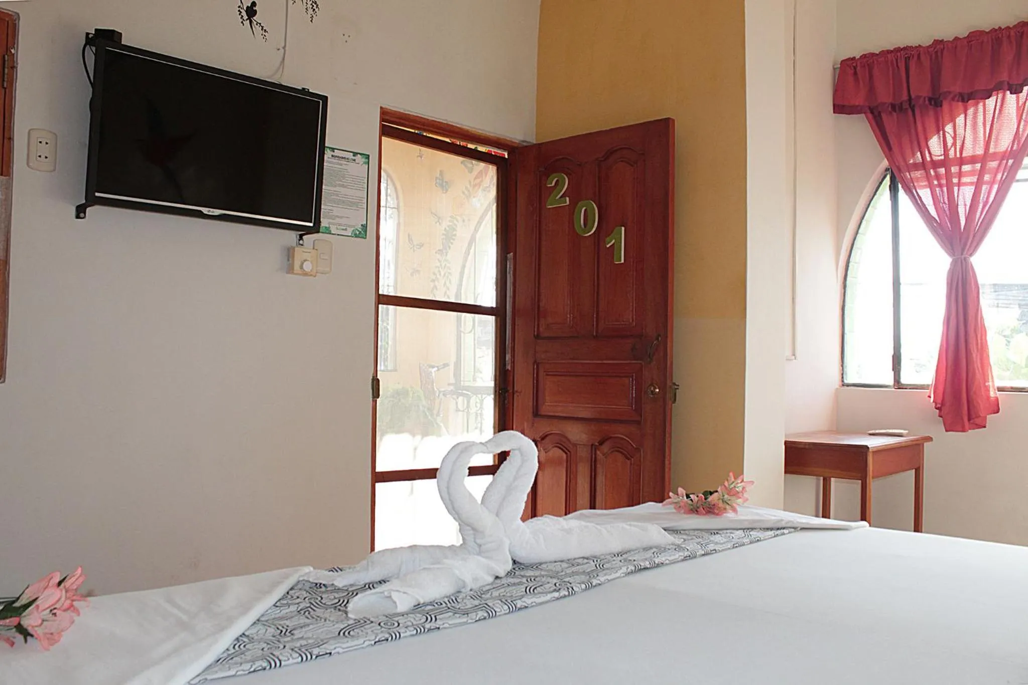 Bed in Amazon House Hostel