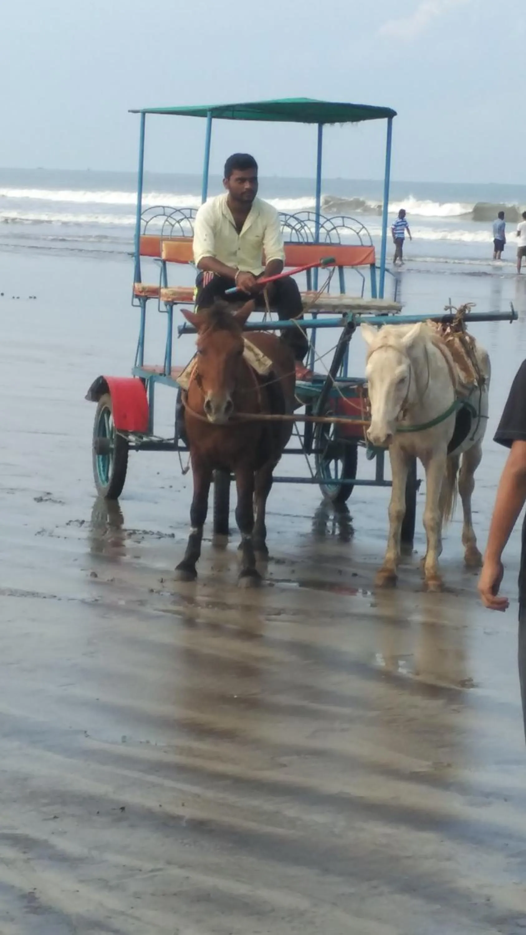 Day in Tendulkar Beach Resort