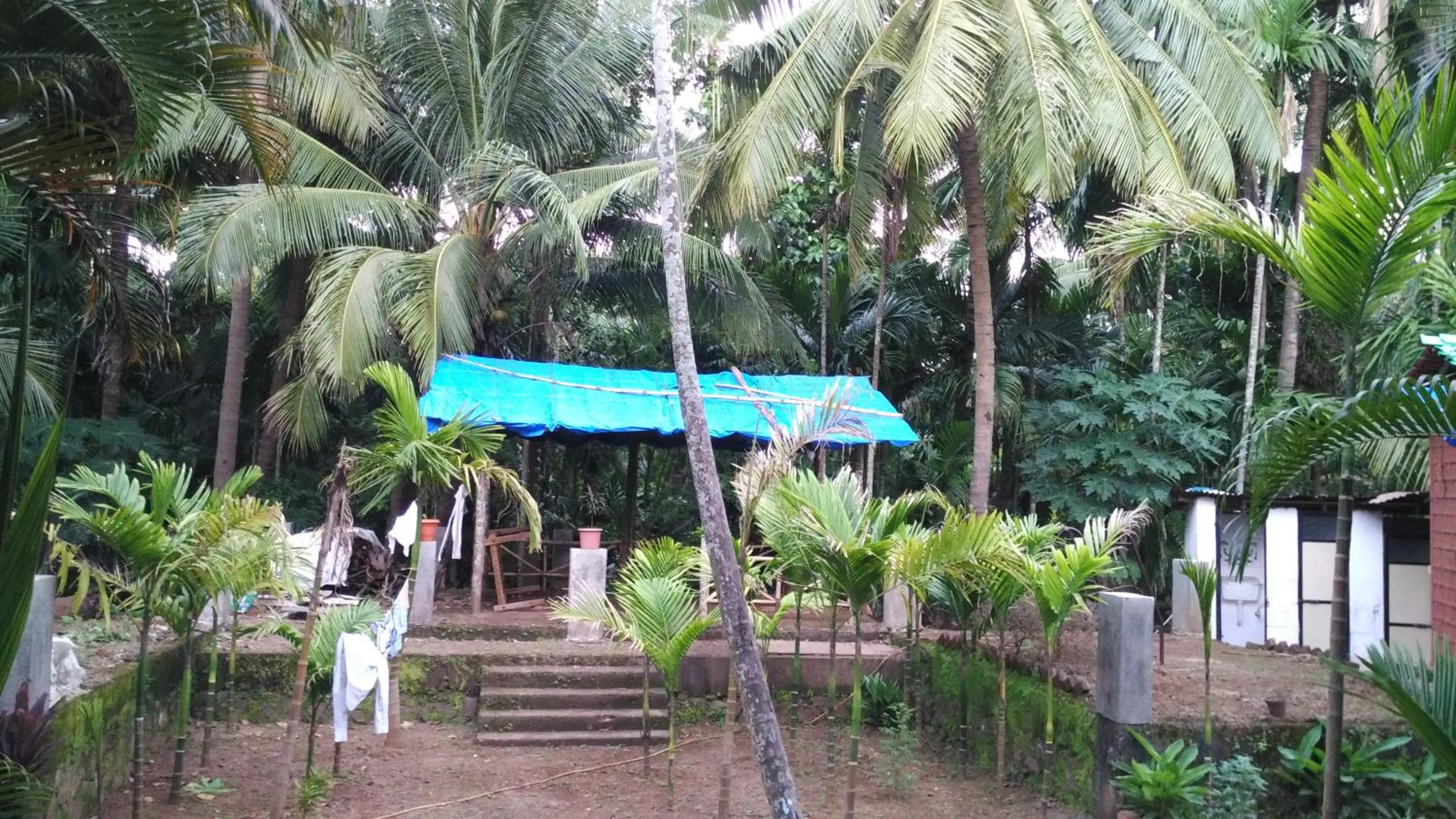 Day in Tendulkar Beach Resort