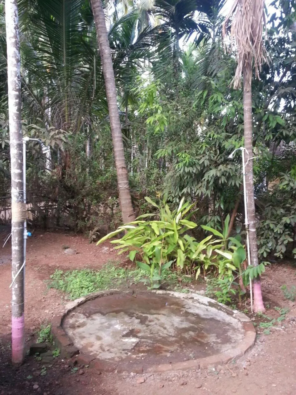 Tendulkar Beach Resort