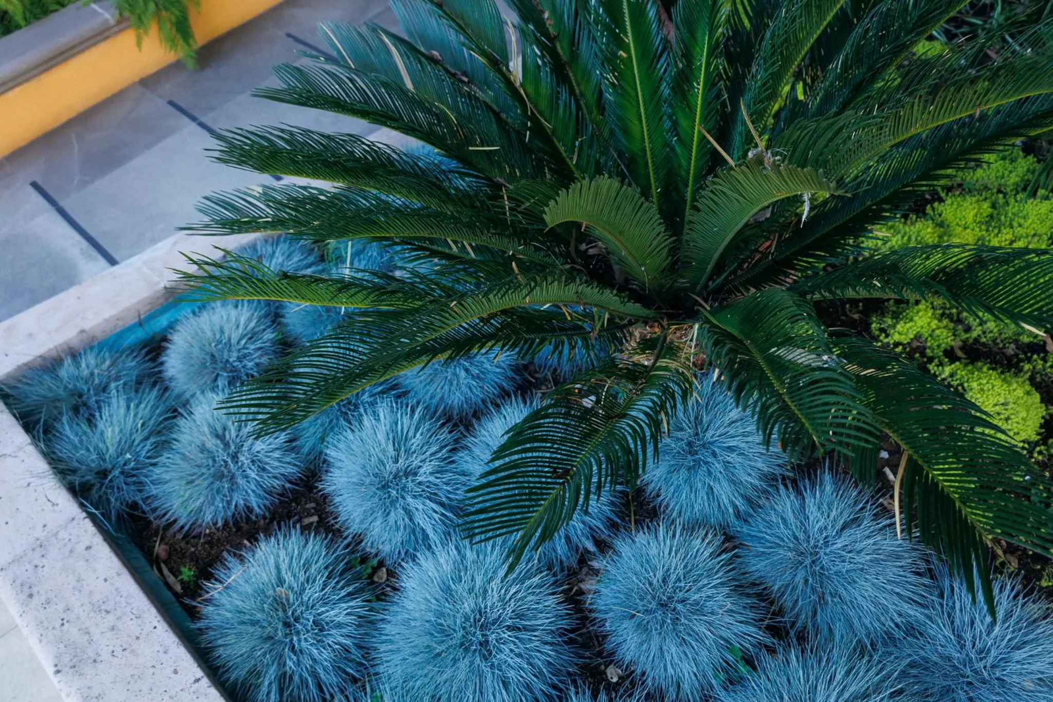 Garden view in Hotel Hacienda Montesinos