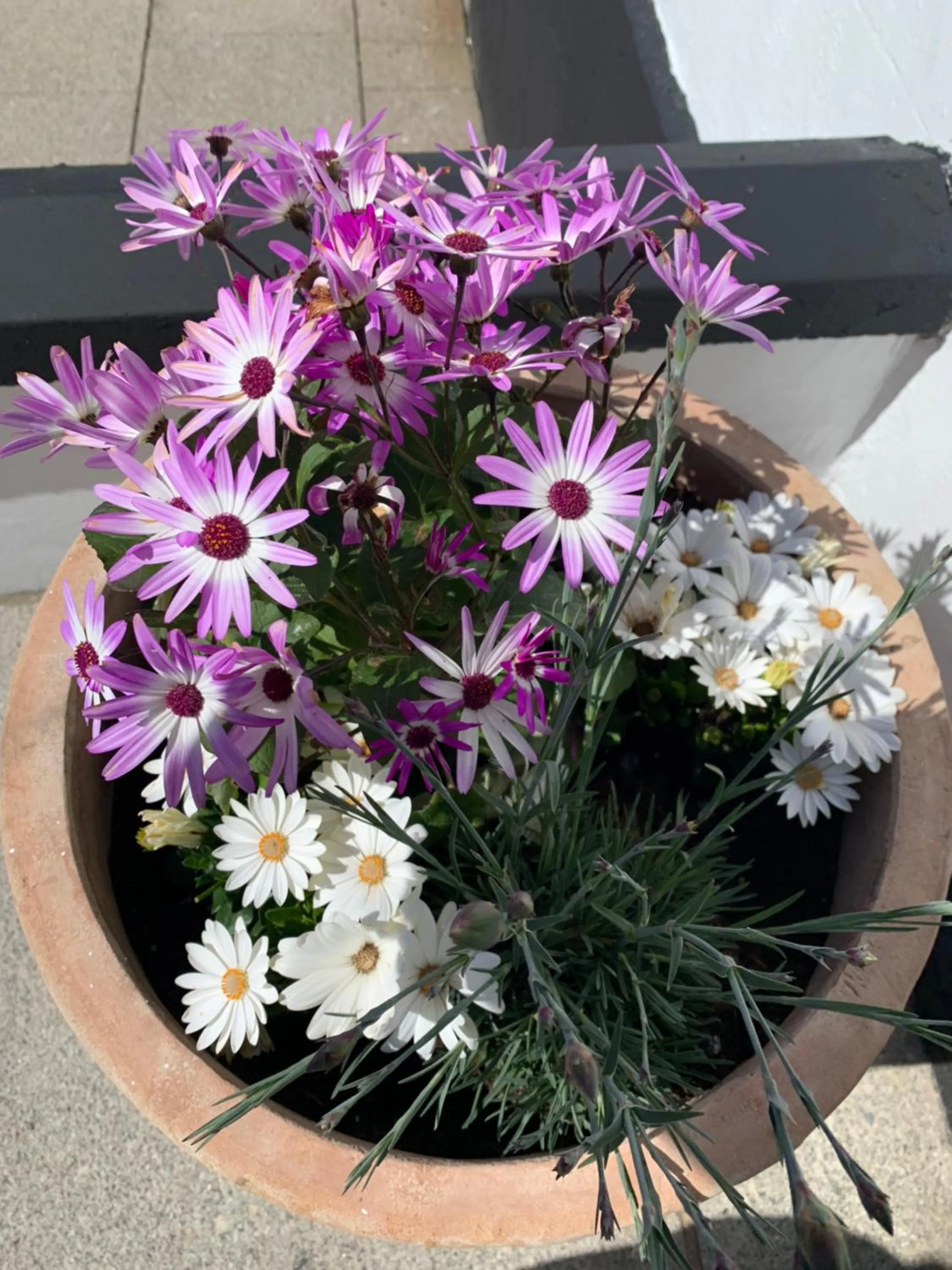 Decorative detail in The Harbour House Sea Front Hotel