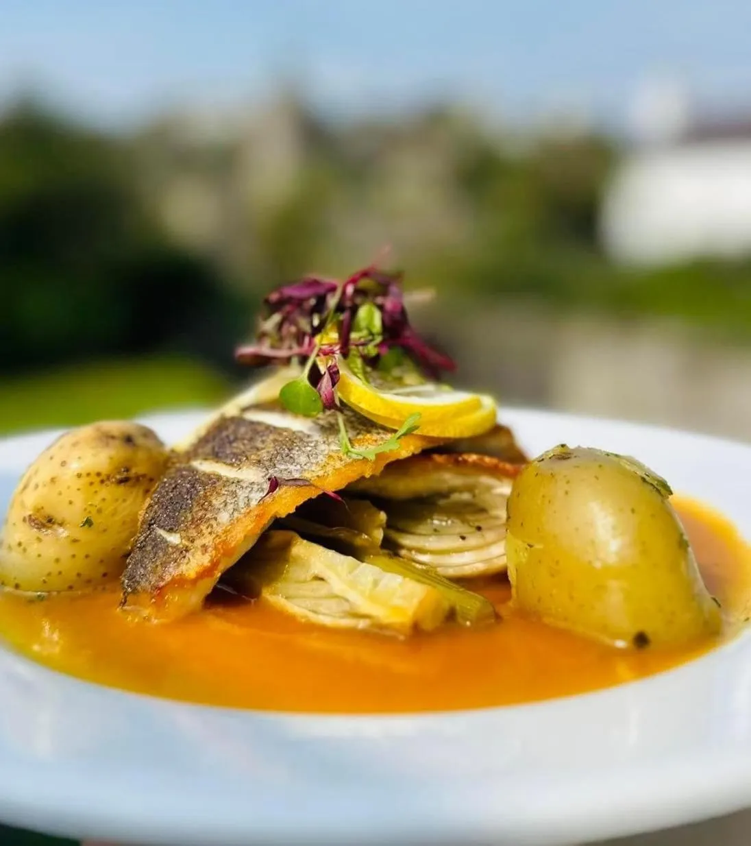 The Harbour House Sea Front Hotel