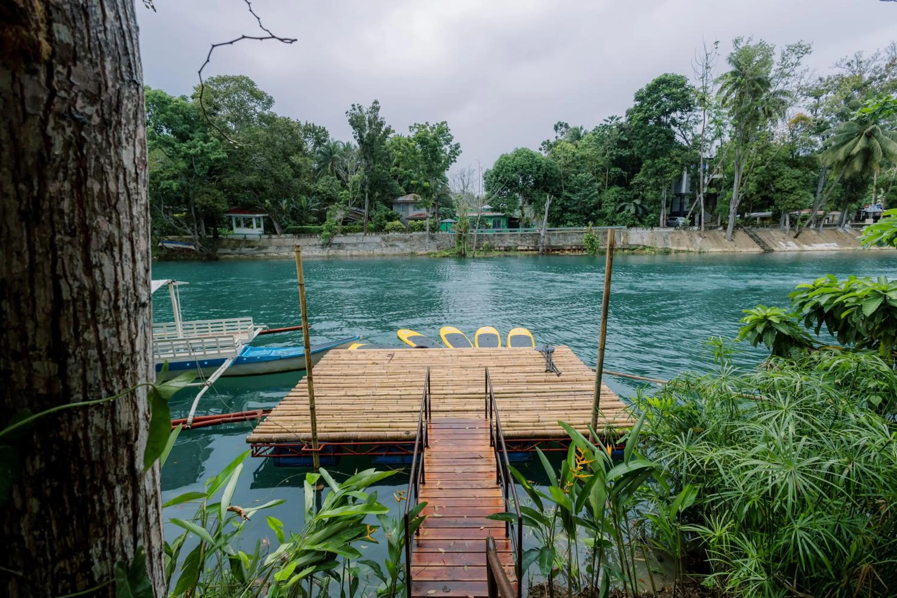 River view in Loboc Riverside Inn & Restaurant