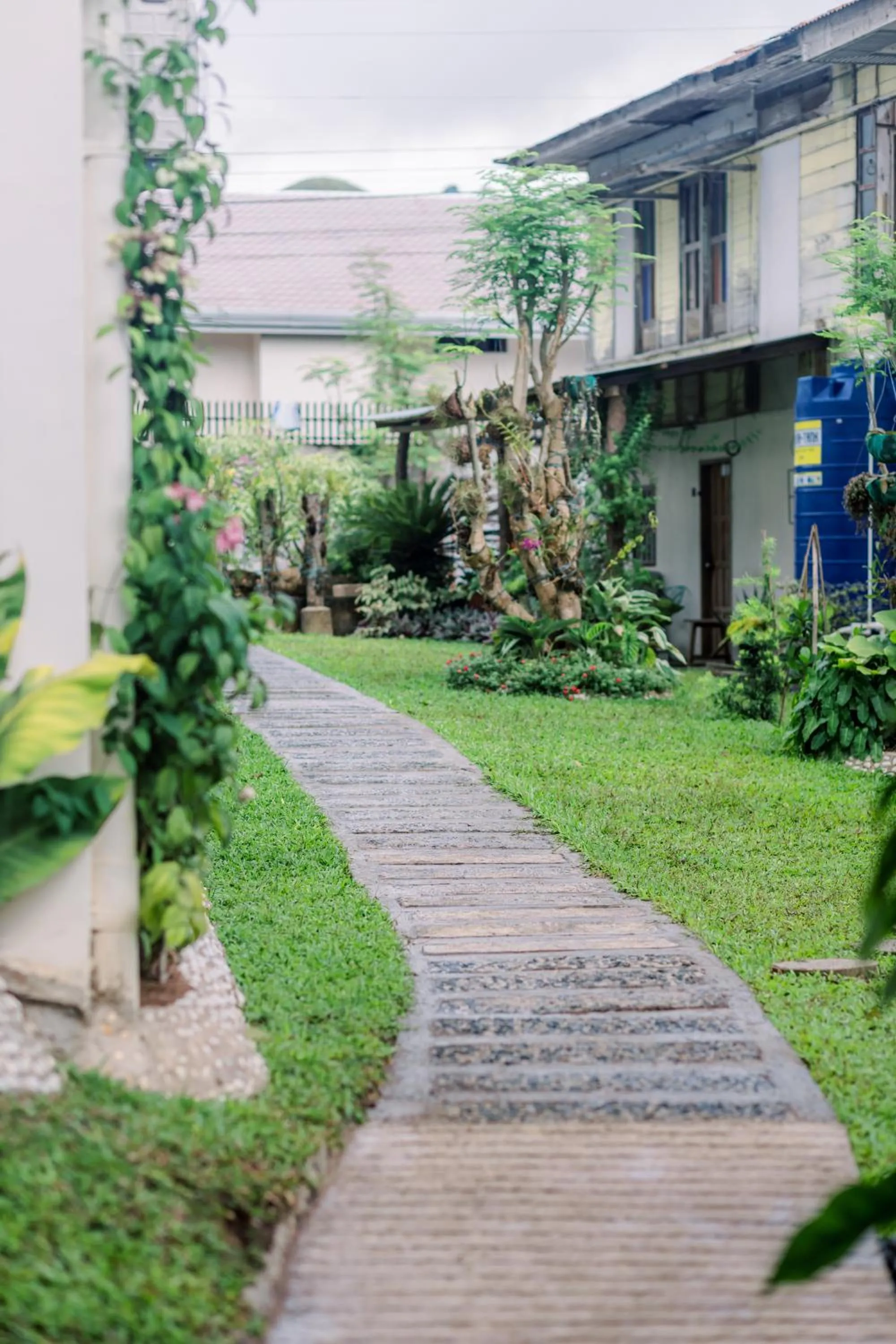 Garden in Loboc Riverside Inn & Restaurant