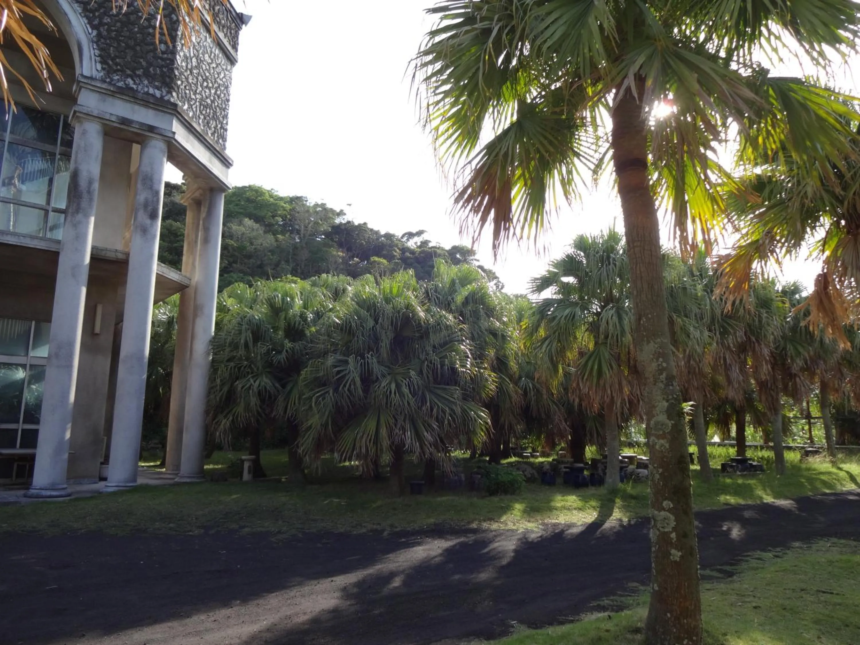 Property building in Forte