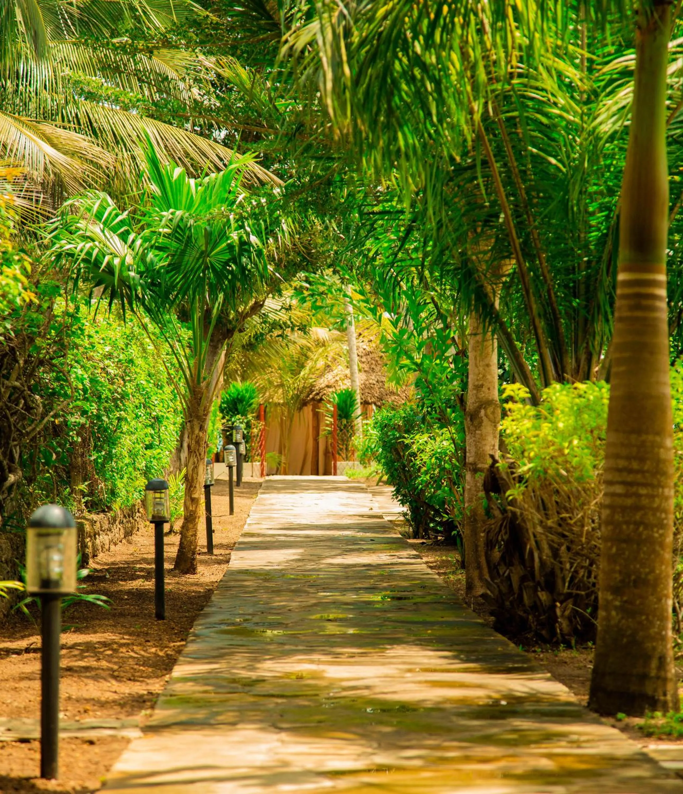 Natural landscape in Mzima Beach Residences - Diani Beach