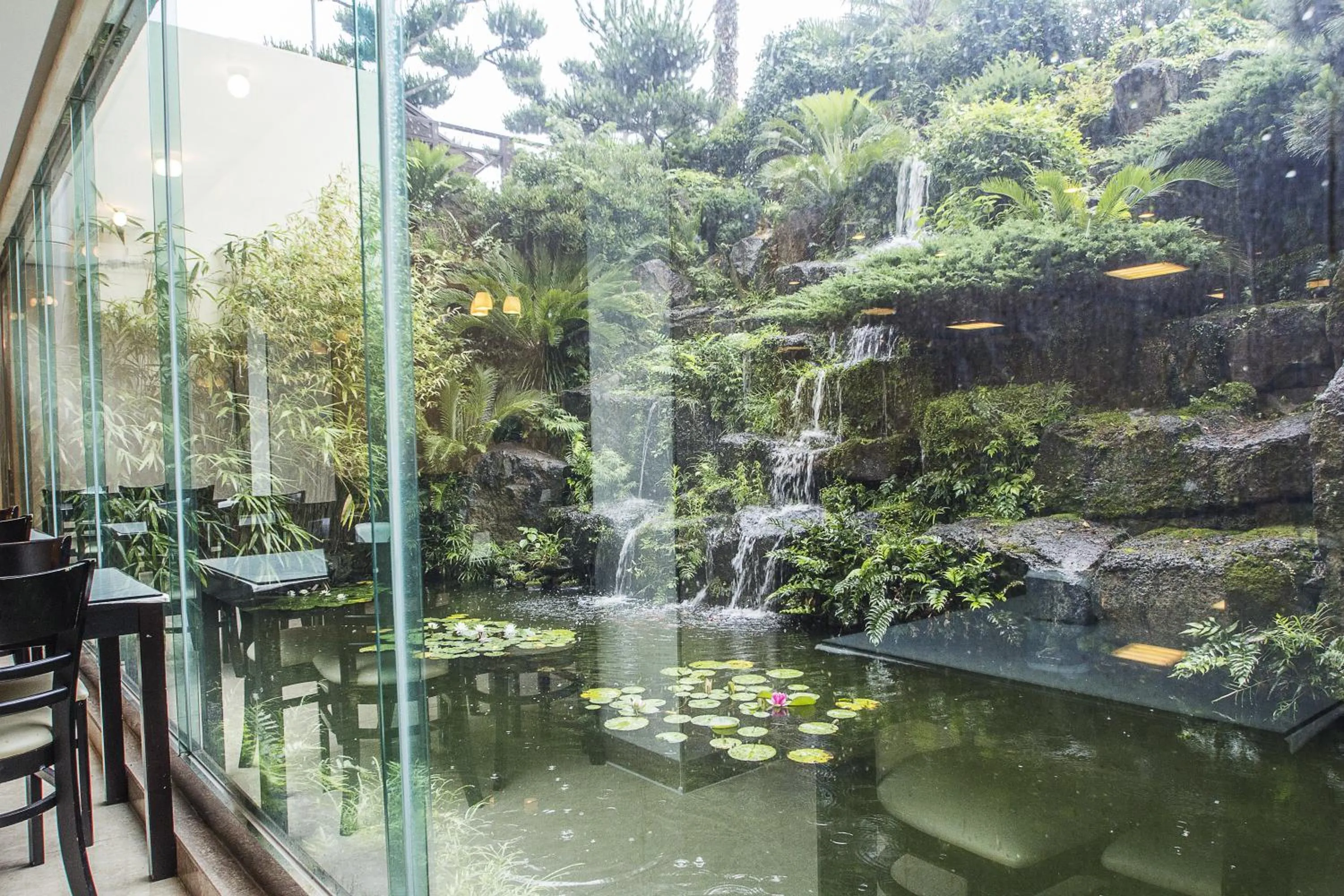 Restaurant/places to eat in Benikea  The Jeju Resort