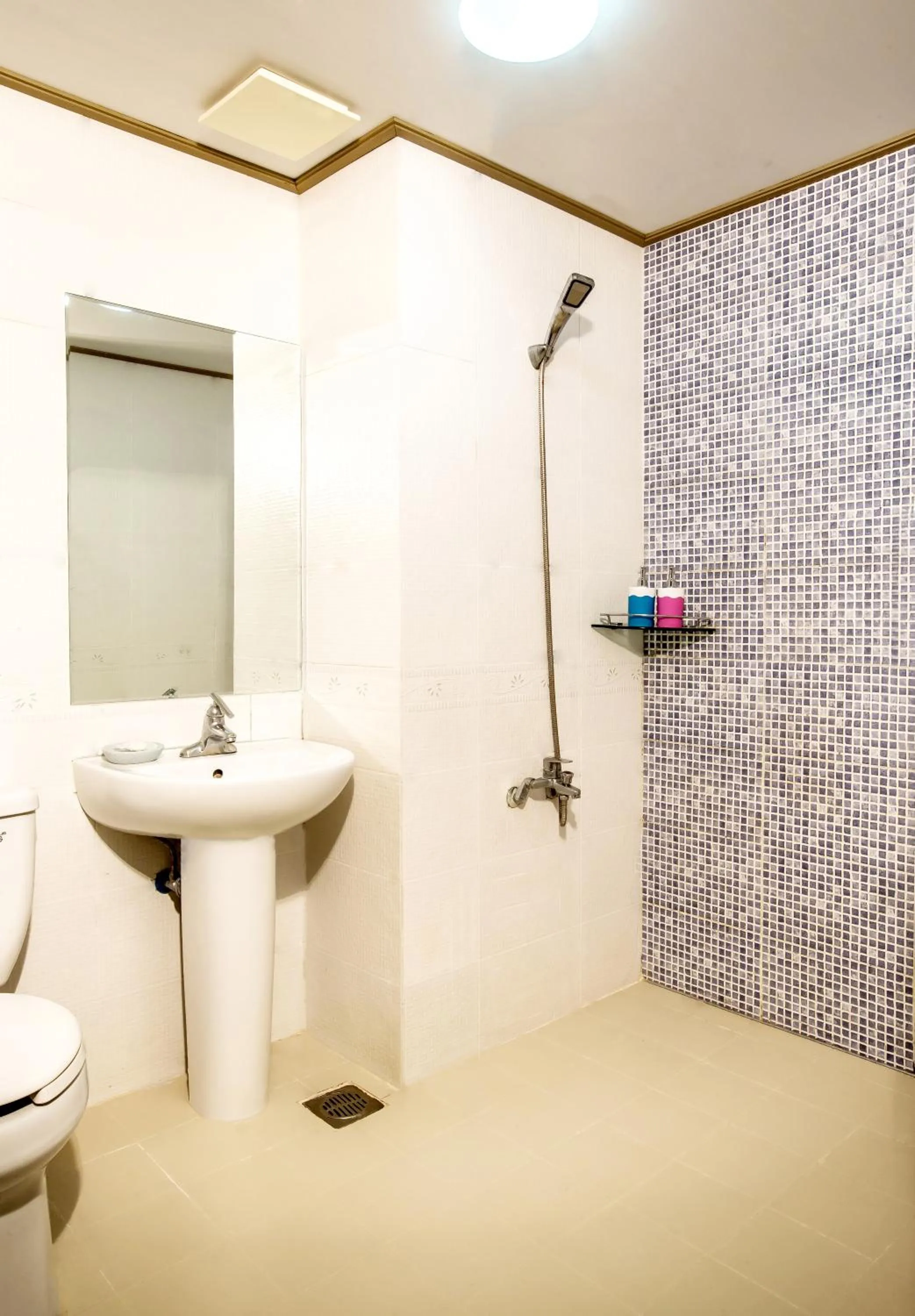 Shower, Bathroom in Benikea  The Jeju Resort