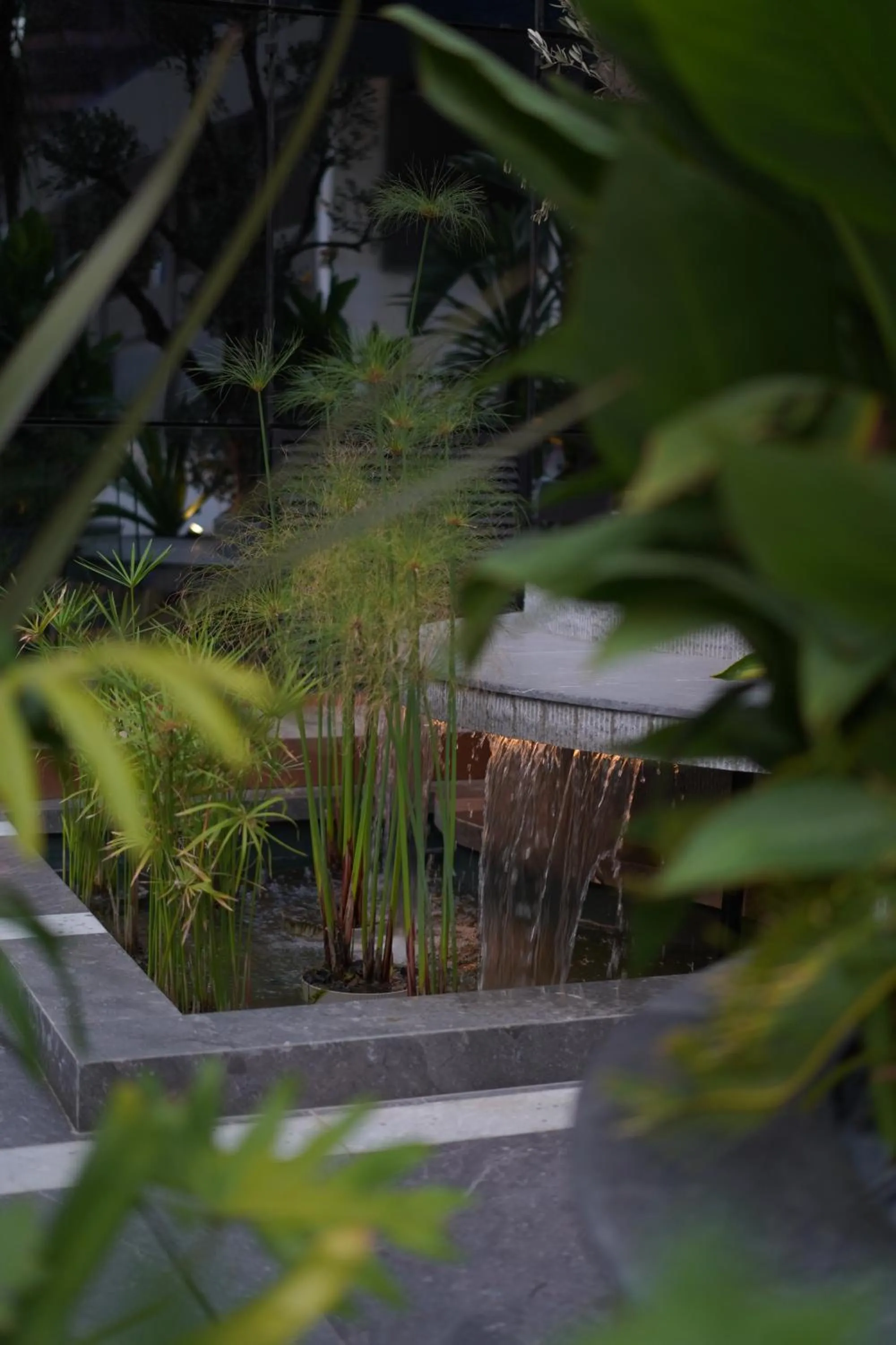 Garden in Suites By Le Rêve