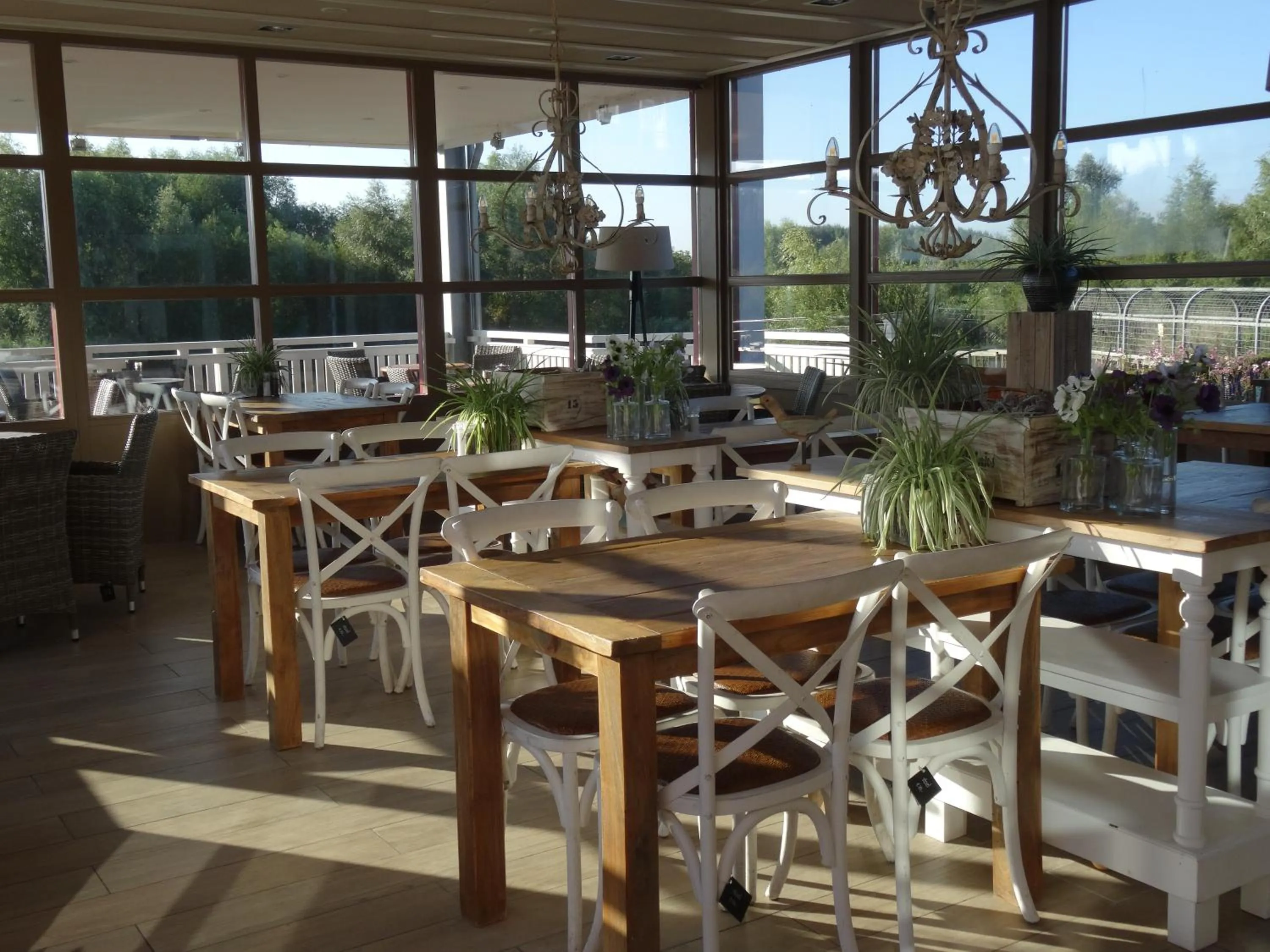 Restaurant/places to eat in Hajé Hotel Restaurant de Lepelaar