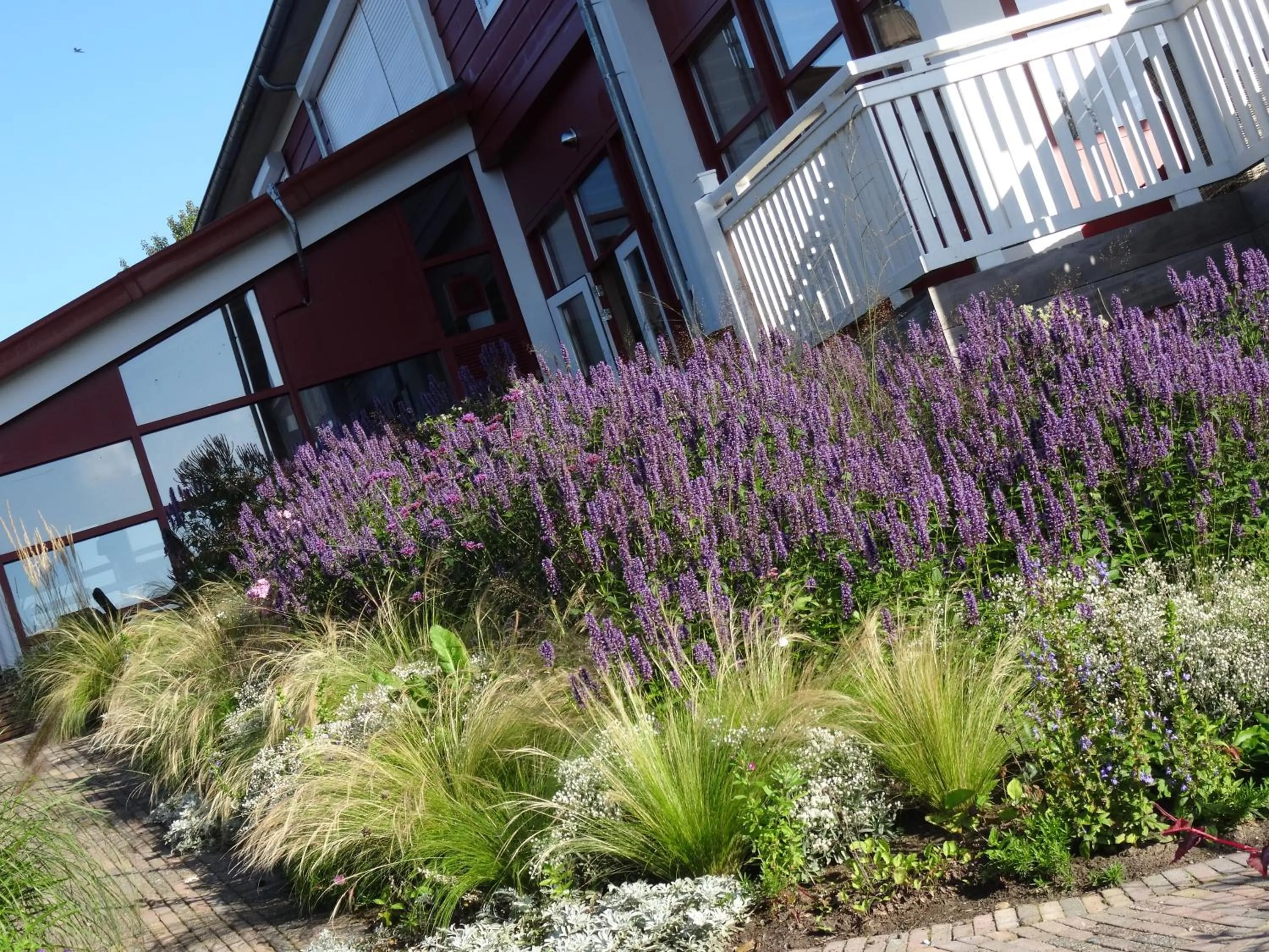 Garden in Hajé Hotel Restaurant de Lepelaar