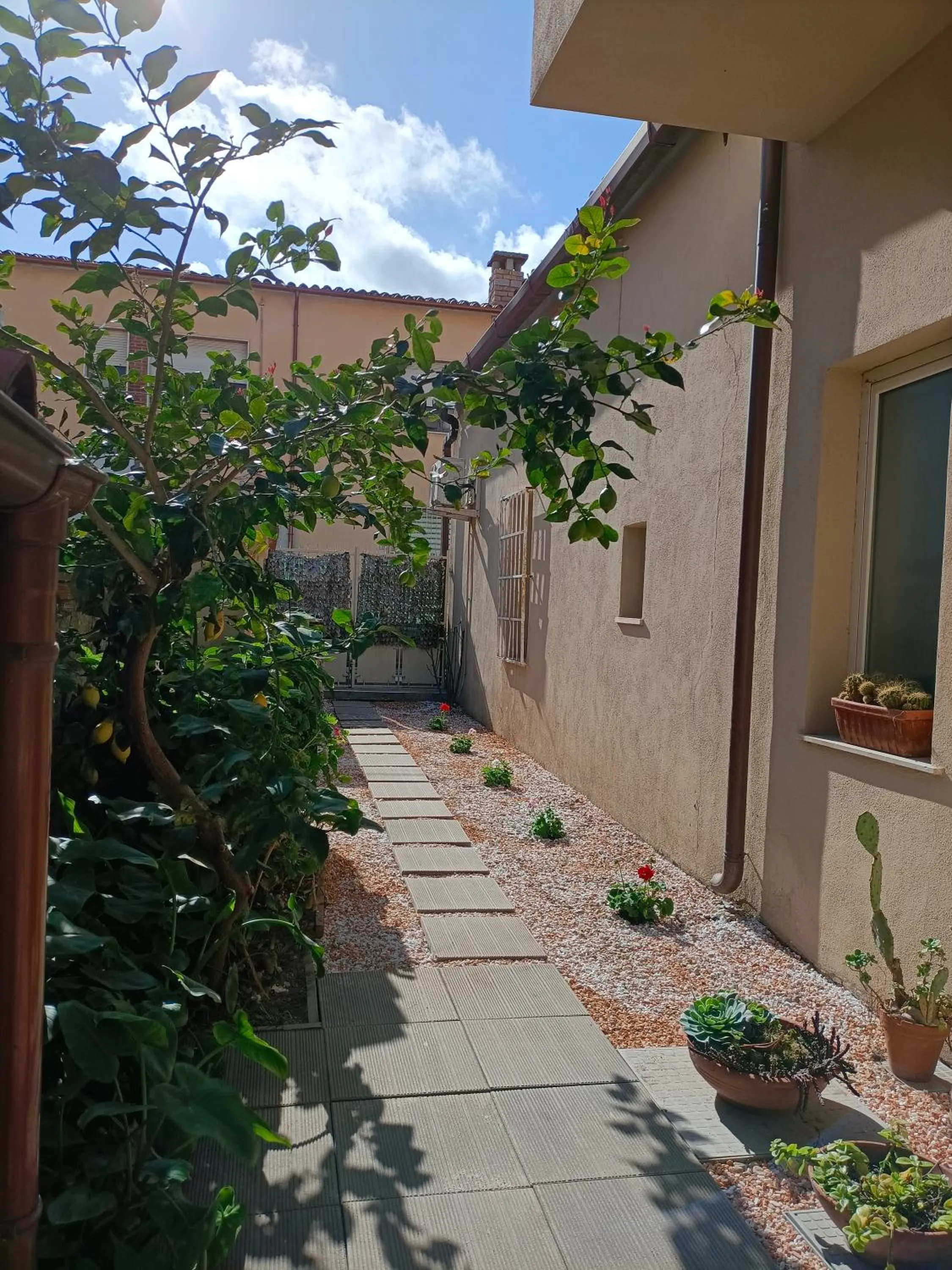 Garden in Affittacamere Alisso